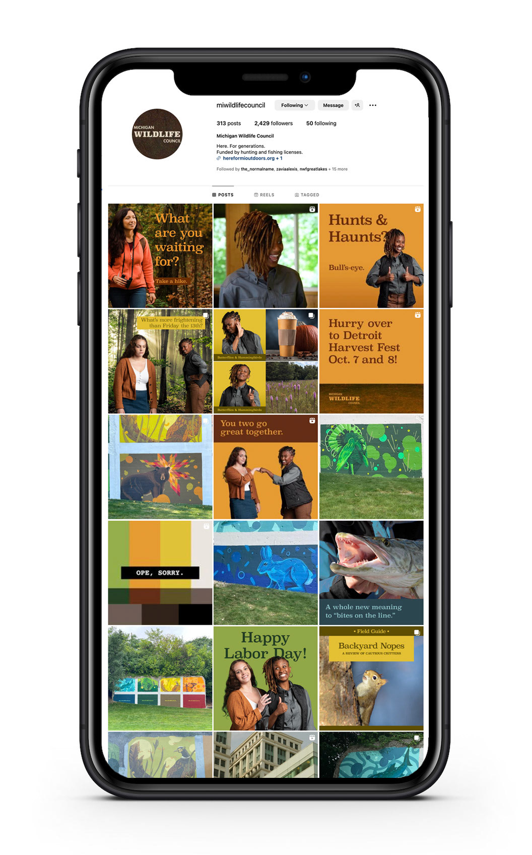 Organic social media — Instagram profile page