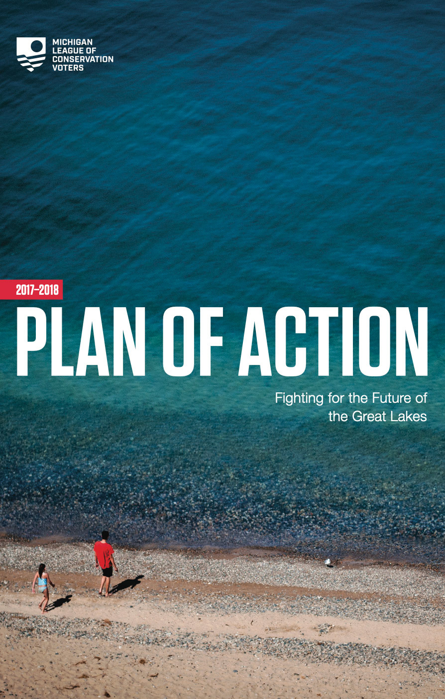 Plan of action cover
