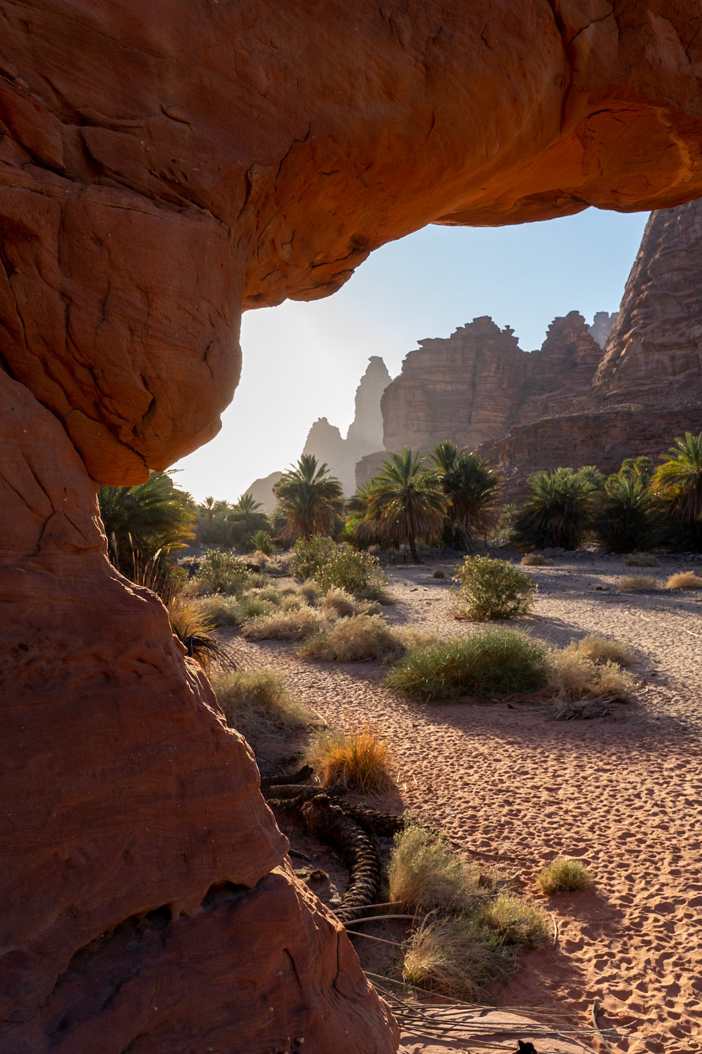 A natural rock arch frames a desert landscape with palm trees and rugged rock formations in the distance. The foreground features reddish-brown sand with sparse vegetation, including dry grasses and small bushes. The lighting suggests late afternoon or early morning sun, casting shadows across the sandy ground. The composition draws the eye through the arch towards the layered rock cliffs and the bright sky beyond.