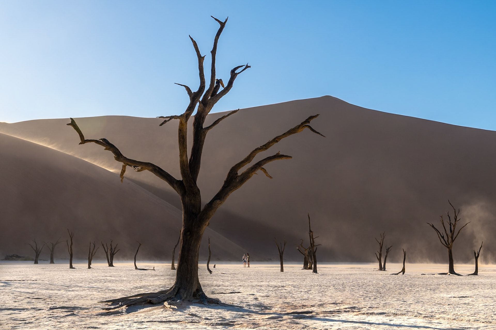 A wide shot shows a stark desert landscape, characteristic of Deadvlei in Namibia. A large, dark, skeletal dead tree with gnarled branches stands prominently in the foreground. Behind it, a flat, light-colored, cracked clay pan extends, dotted with several other smaller dead trees. Two small human figures are visible in the midground, standing near the base of a distant sand dune. The background features immense, smooth, reddish-orange sand dunes, with fine sand visibly blowing across their lower slopes. The sky is clear and light blue, and the scene is brightly illuminated.Deadvlei, Namib-Naukluft National Park, Namibia.