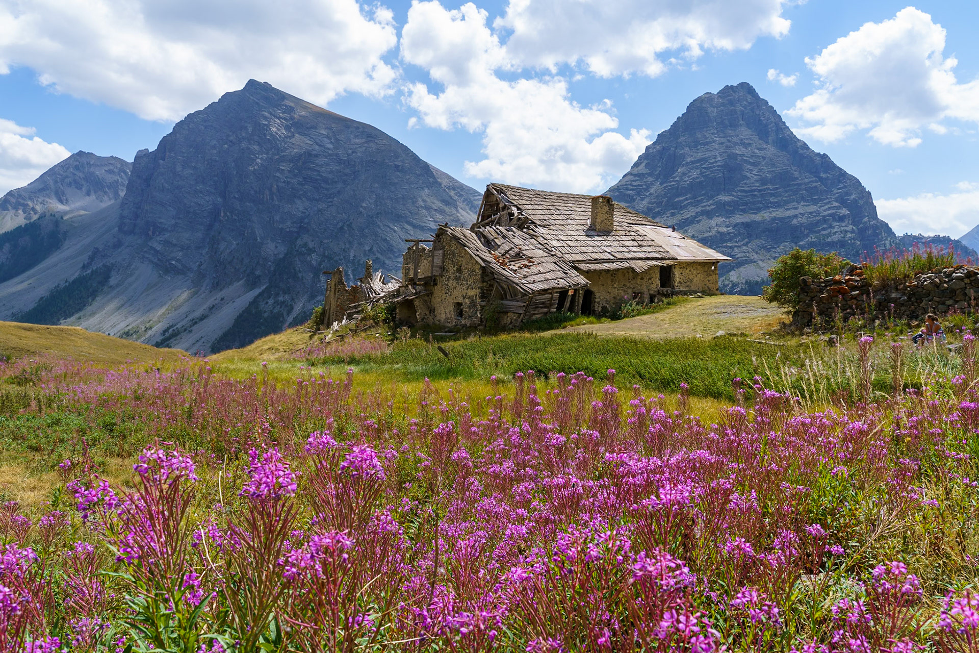 A stone building in ruins stands on a grassy slope dotted with purple wildflowers, with steep, rocky mountains and a blue sky with white clouds in the background. The location is in the Alps.
