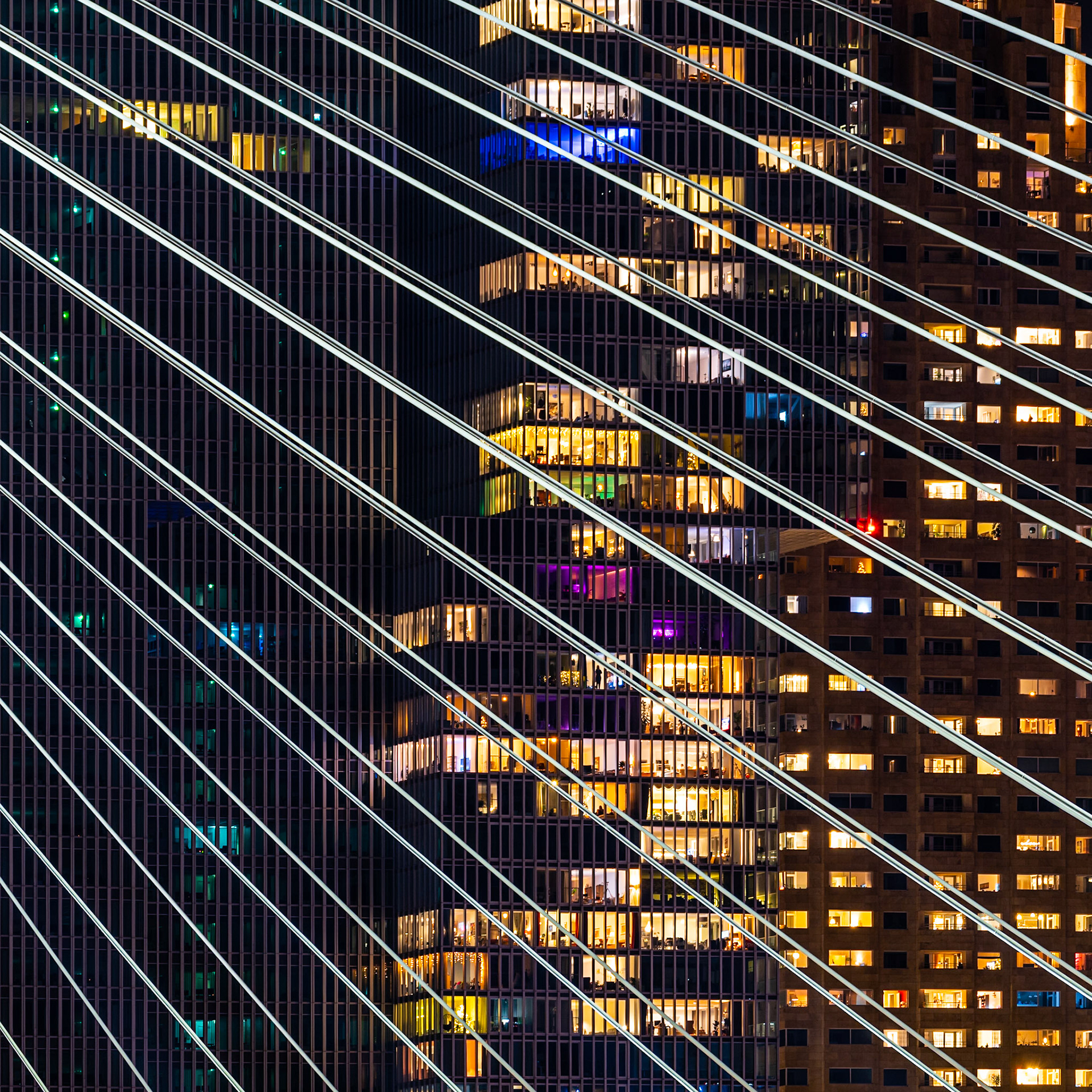 Diagonal lines of a suspension bridge cut across a nighttime view of illuminated high-rise buildings in Rotterdam. The warm glow from apartment windows contrasts with the cool blue and green lights within some offices, creating a dynamic interplay of urban life and architectural structure. The composition emphasizes the geometric patterns of the buildings and the bridge's cables, evoking a sense of bustling city activity against the dark sky.