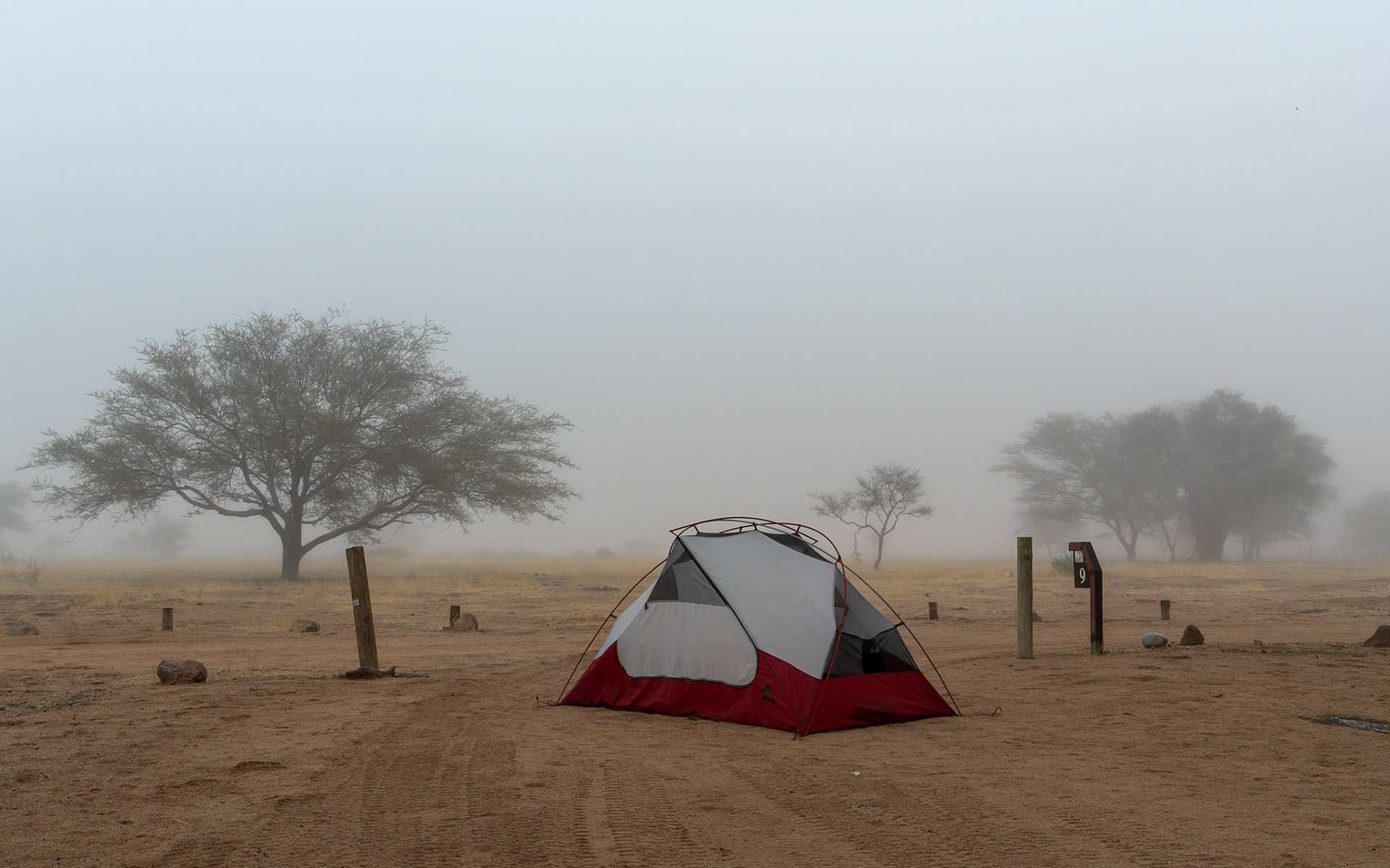 A red and white tent is pitched on sandy ground in a foggy landscape, likely within Etosha National Park, Namibia. Dense fog obscures the background, revealing only the silhouettes of sparse, leafless trees. The ground shows tire tracks and scattered small rocks. A wooden post marked with the number "9" stands to the right of the tent. The lighting is diffused and cool due to the heavy fog.Etosha National Park, Namibia