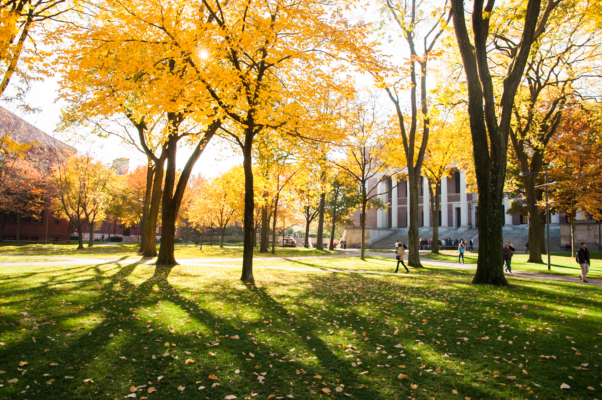 Harvard Yard during autumn in front of Widener Library and Sever Hall. Photo taken by Dean Shu.