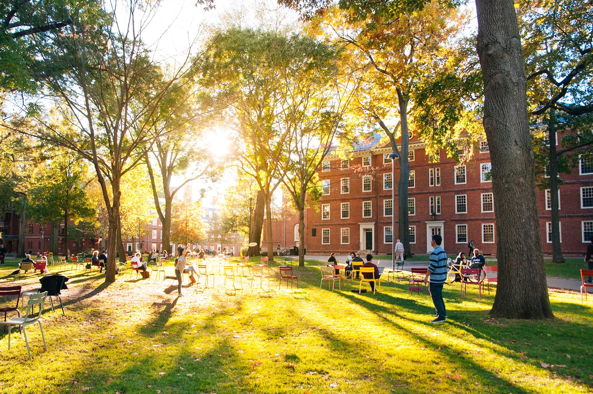 Harvard Yard during the summer. Hollis Hall is a dormitory for first-year (freshman) undergraduates. Photo taken by Dean Shu.