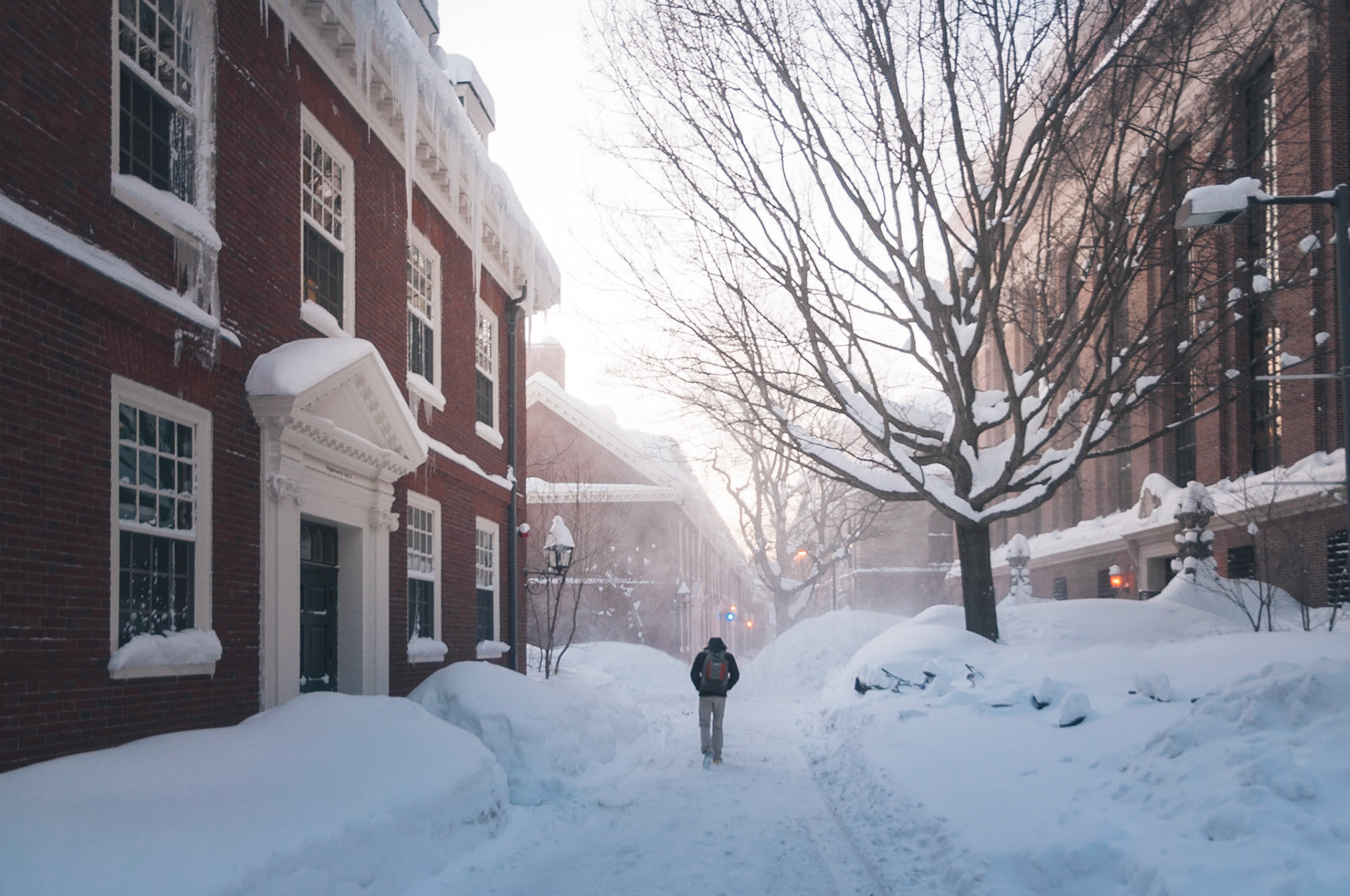 On the left is Wigglesworth, one of many freshman dorms. On the right is Widener Library. Photo taken by Dean Shu.