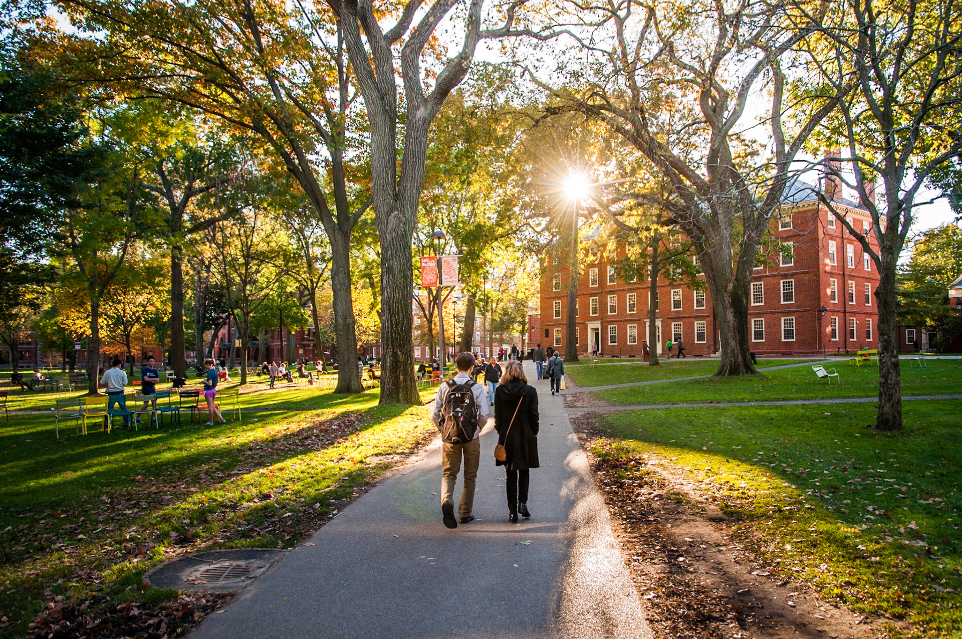 Harvard Yard during the summer. Hollis Hall is a dormitory for first-year (freshman) undergraduates. Photo taken by Dean Shu.