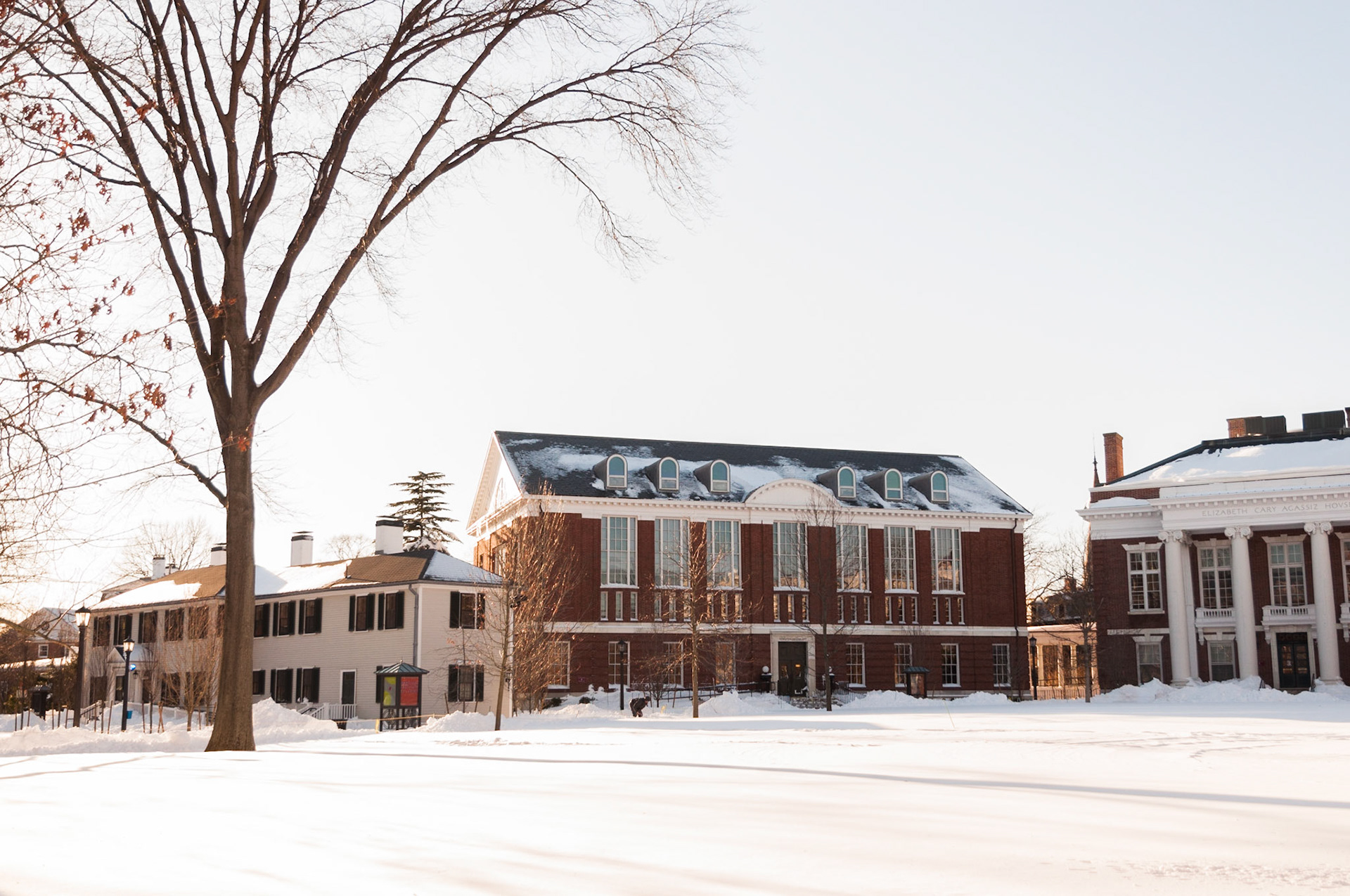One of multiple buildings housing Harvard's admissions office. Taken after a winter snowstorm. Photo taken by Dean Shu.