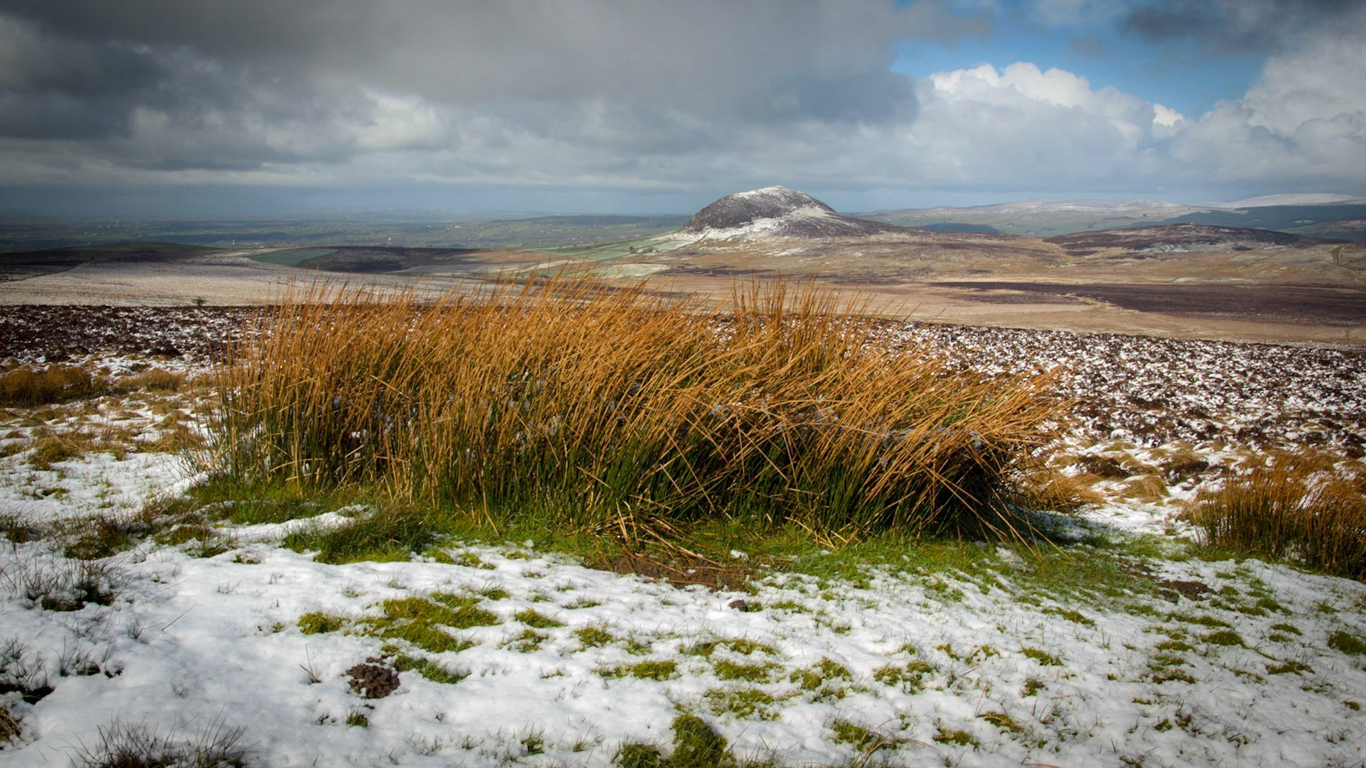 Winter landscape view looking across snow-dusted moorland from Douglas Top toward the solitary volcanic peak of Slemish in County Antrim, featuring golden rushes in the foreground under dramatic clouds.