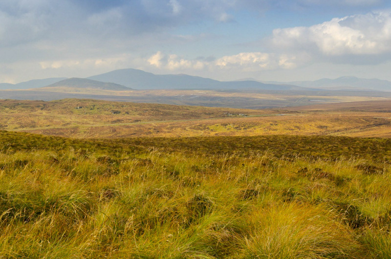 Rugged landscape of the Inishowen Peninsula. Foreground of long, dry grass with distant, hazy mountains.