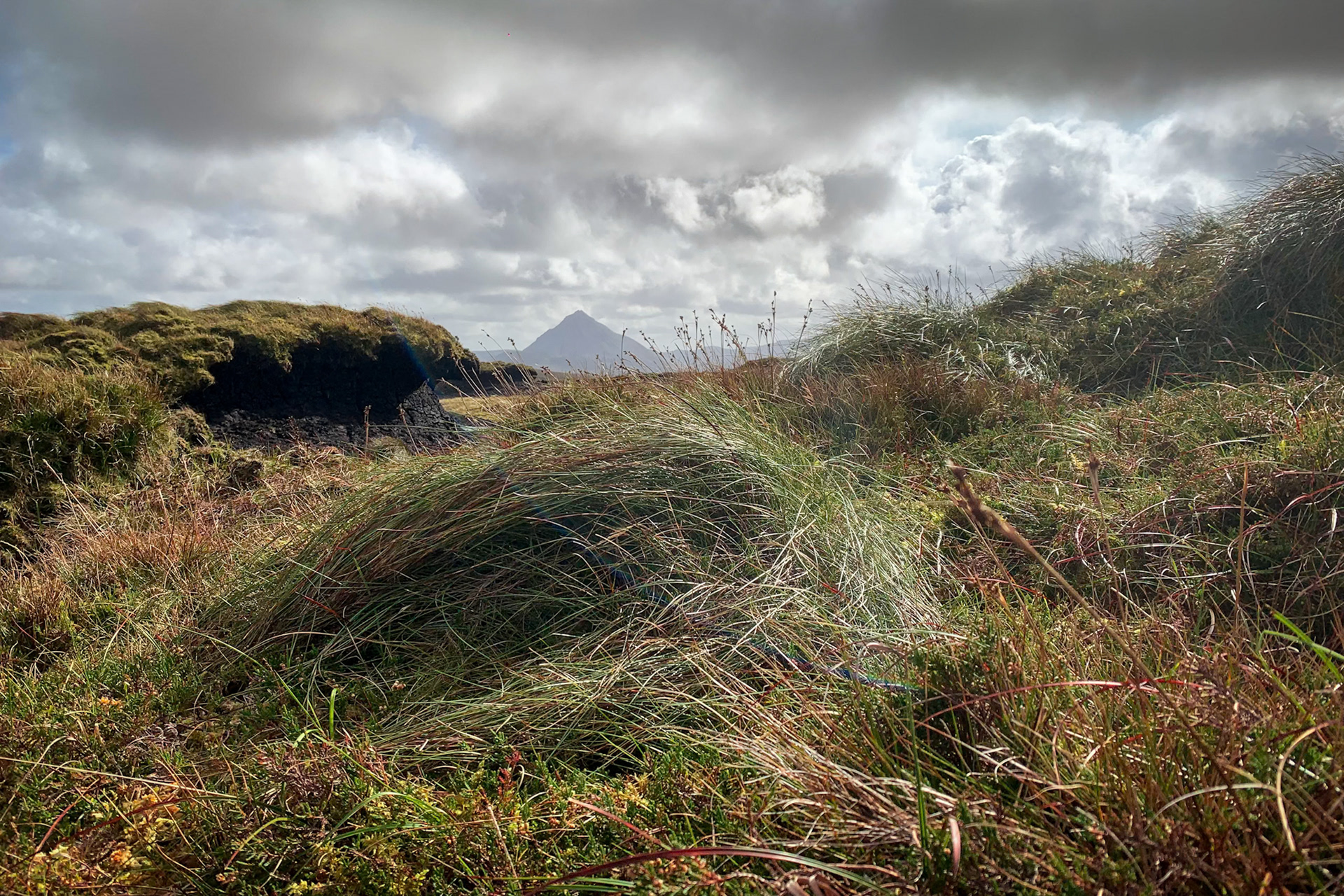 Low-angle view across rough moorland grass and peat hags, looking toward the distant distinctive peak of Mount Errigal under a dramatic sky in County Donegal.