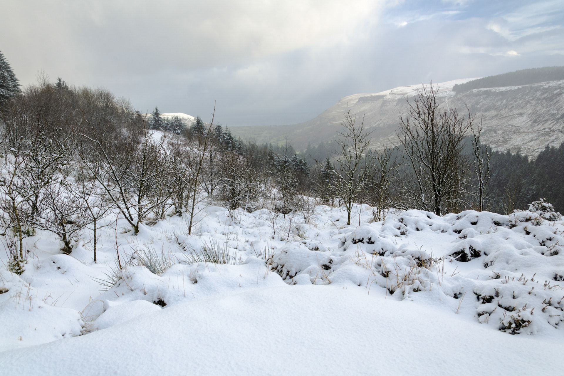 Heavy snow covering the ground, rocks, and foliage along a winter walk in Glenariff Forest Park.