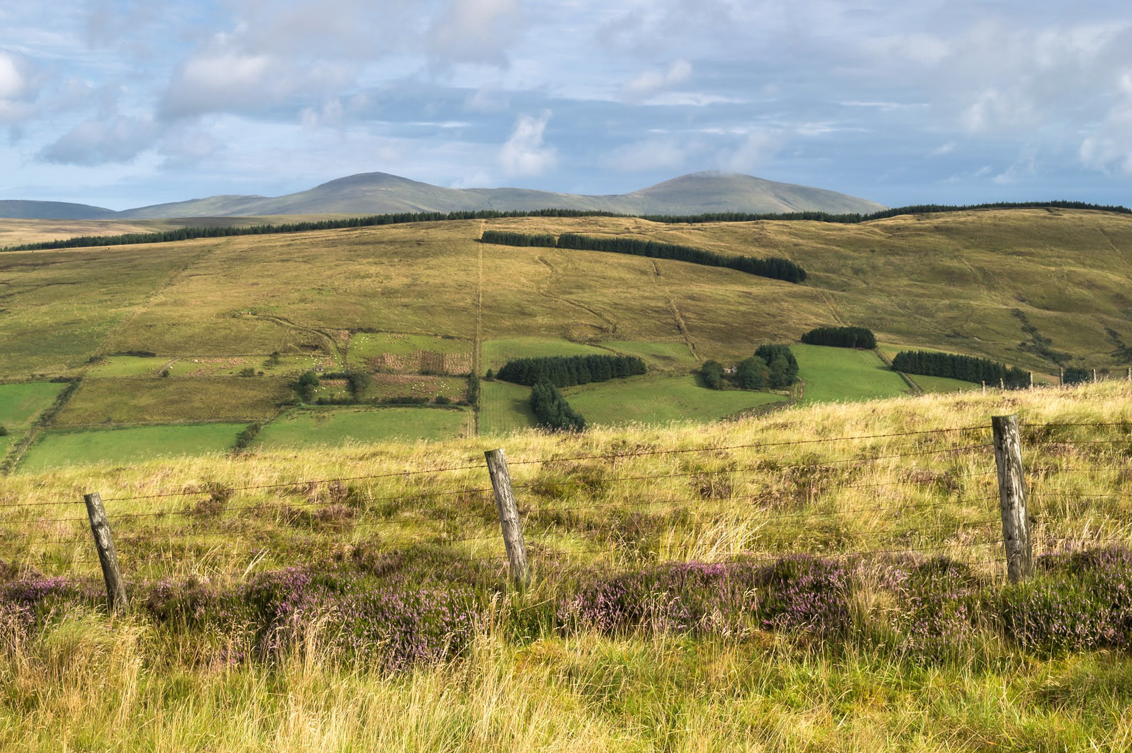 Rural landscape of the Sperrins. Hills are covered in heather and grass, framed by a cloudy Irish sky.
