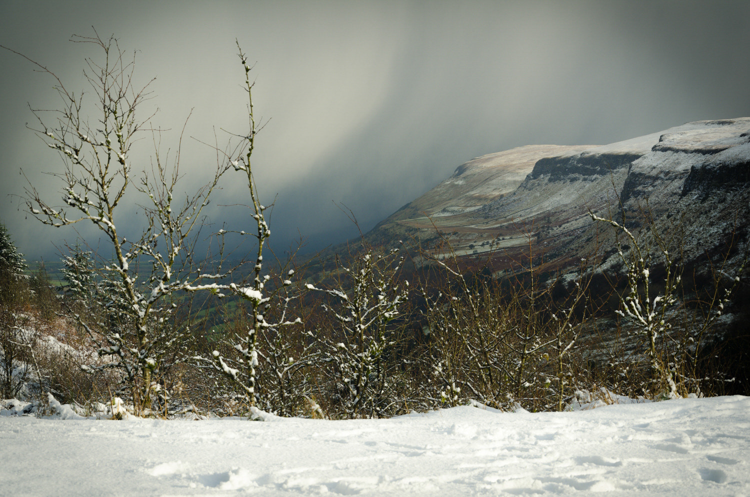 A moody winter scene in Glenariff, County Antrim. Snow covers the ground and branches, with fog obscuring the mountain top.