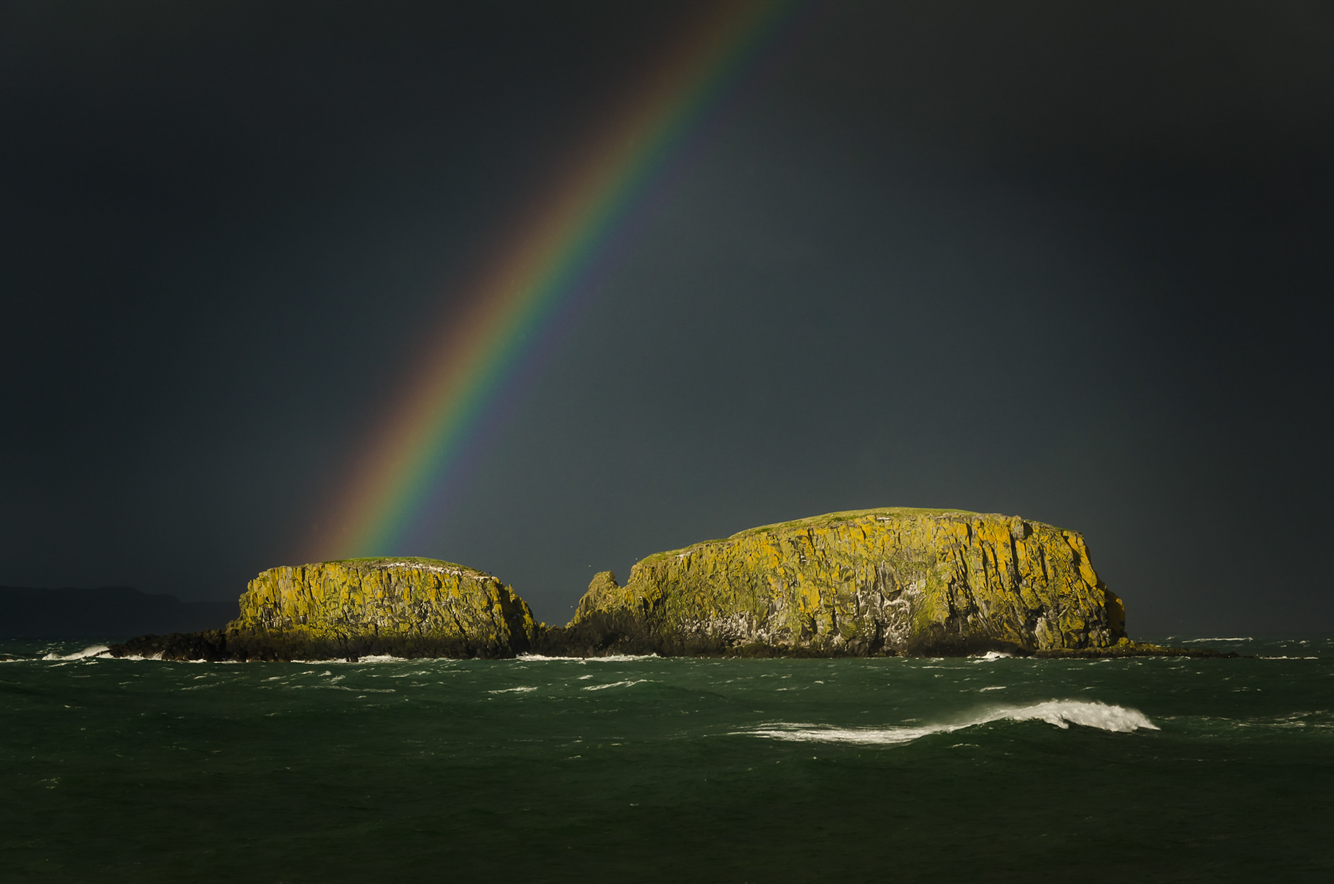 Dramatic view of a vibrant rainbow descending onto the sunlit, yellow lichen-covered cliffs of Sheep Island off the County Antrim coast, set against dark storm clouds and rough sea waters.
