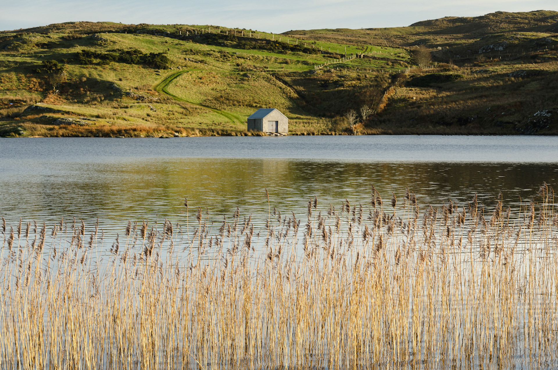 Small grey boathouse on Lough Na Cranagh. Golden reeds rise from the water in the foreground, with green hills behind.