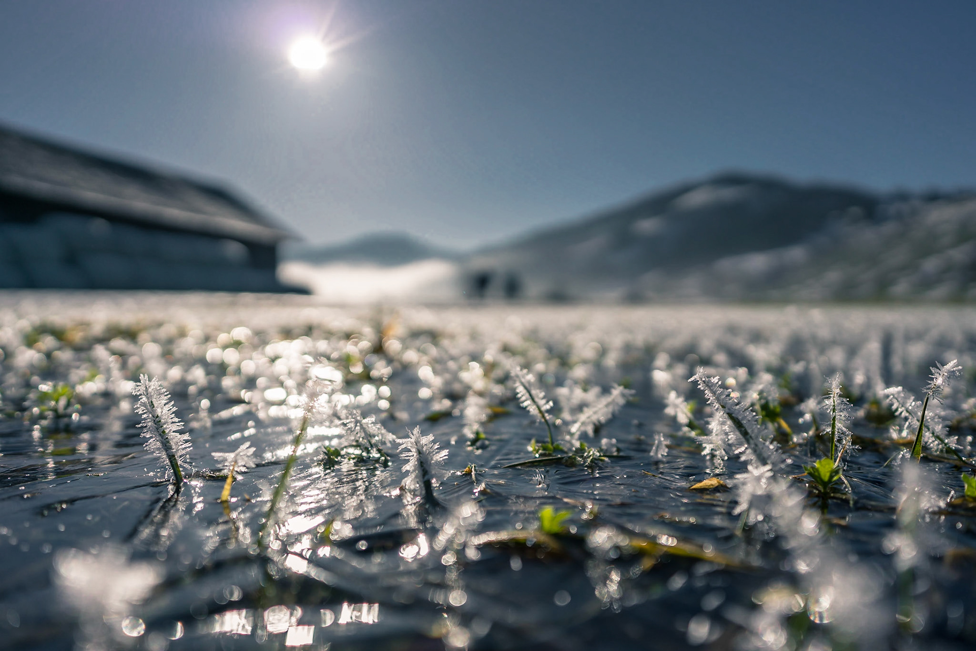 Ein sonniger Wintermittag im Hochmoor. der Tau auf den gefrohrenen Pflanzen geht gemächlich dahin.