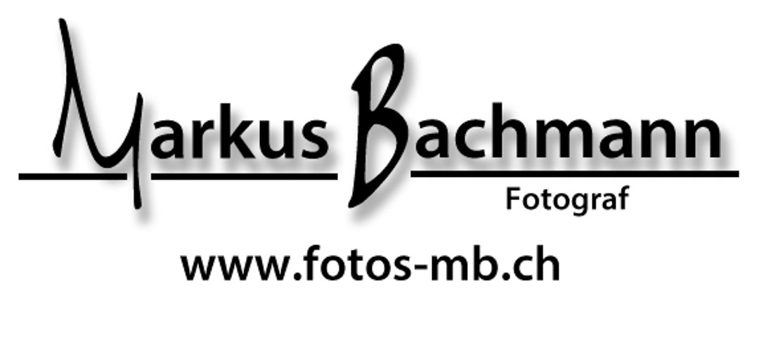 Markus Bachmann