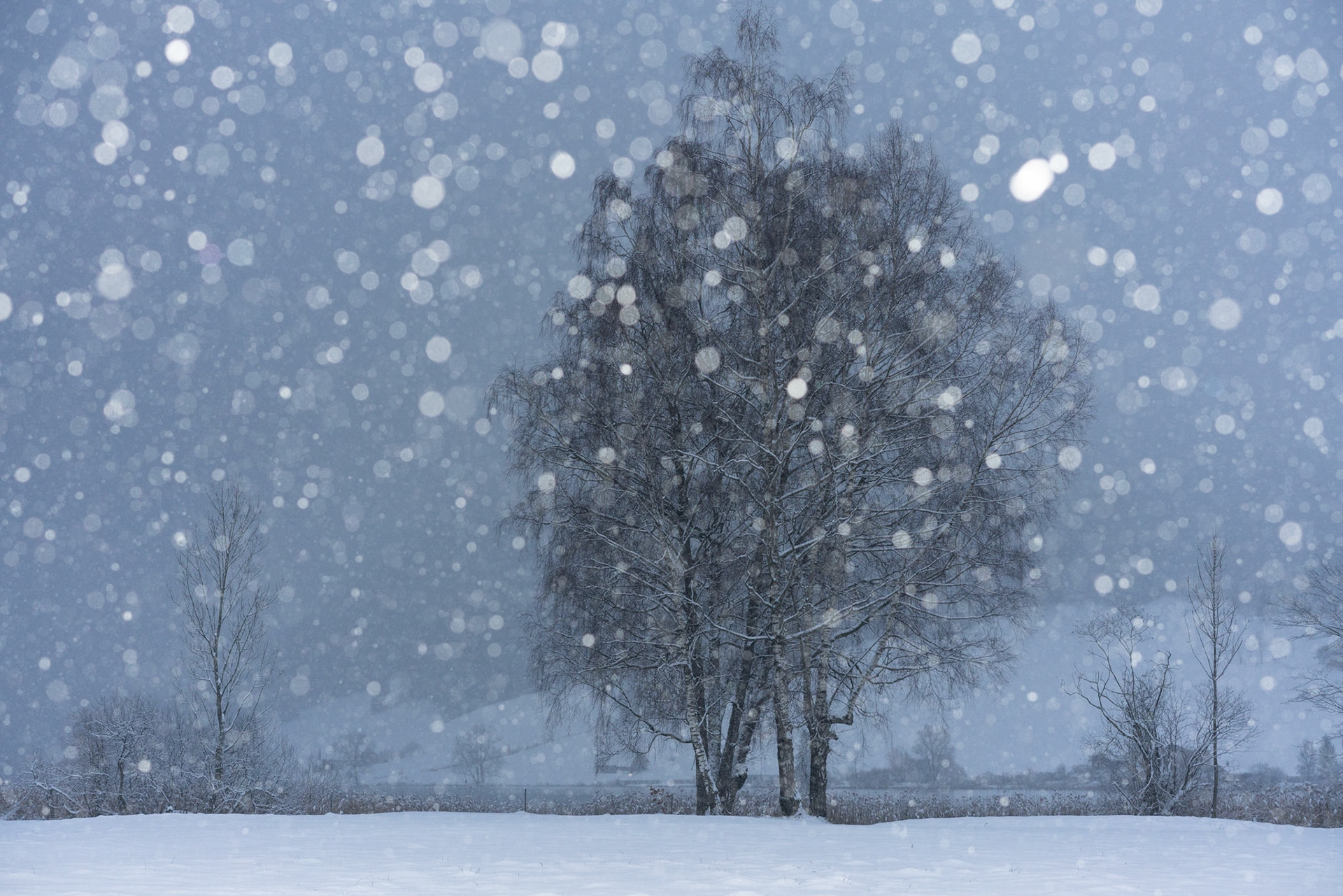 Langes warten, aber dann kam er do h noch, der Schnee.