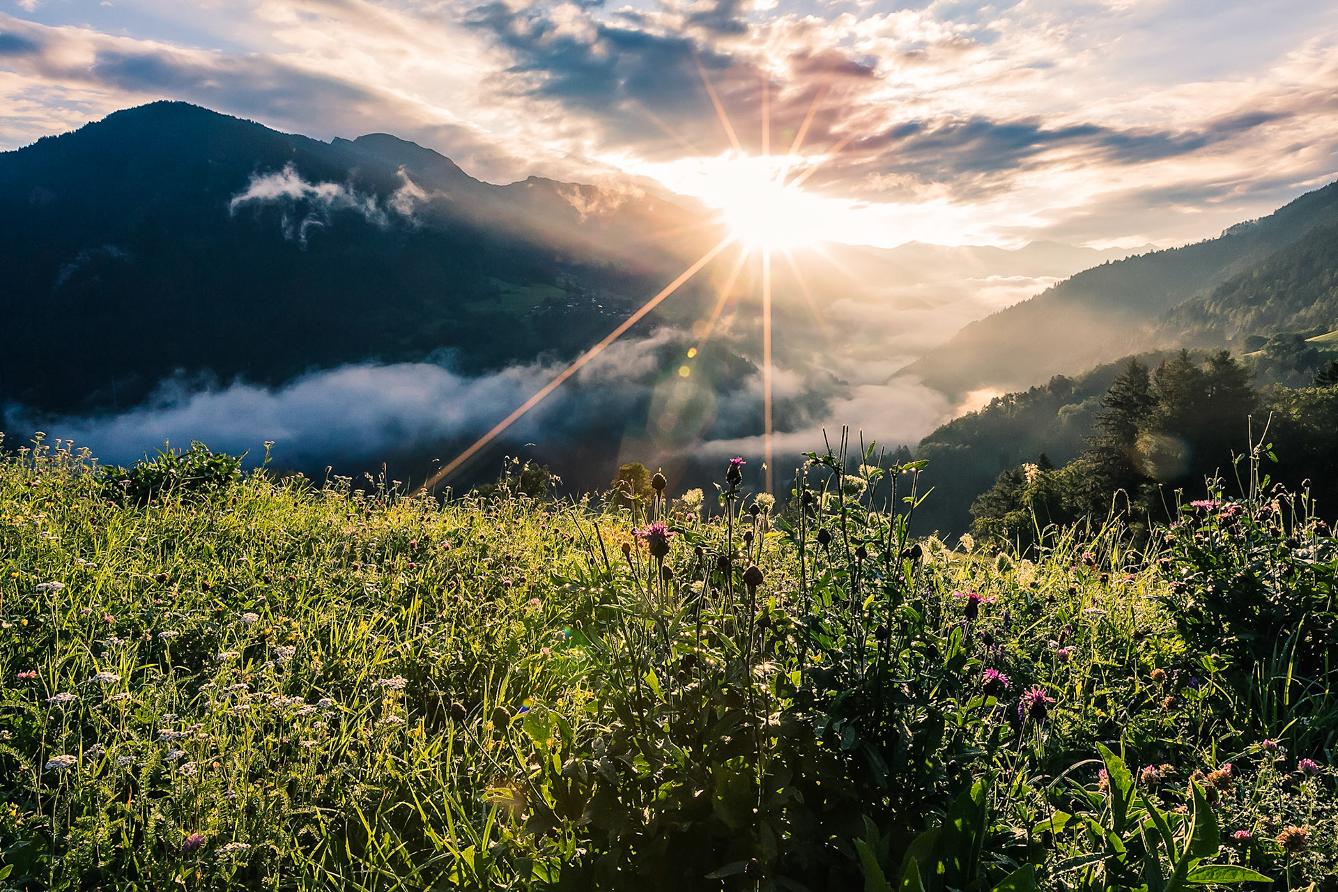 the first ray of sun of the day