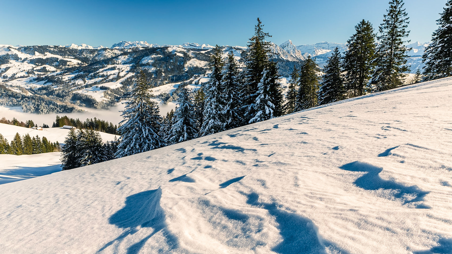 Bei klarem Wetter sind die Berge zum greiffen nah.