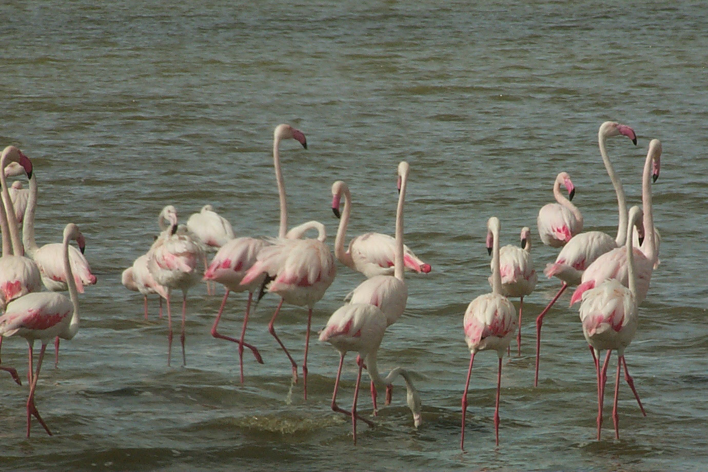 Ngorongoro Crater