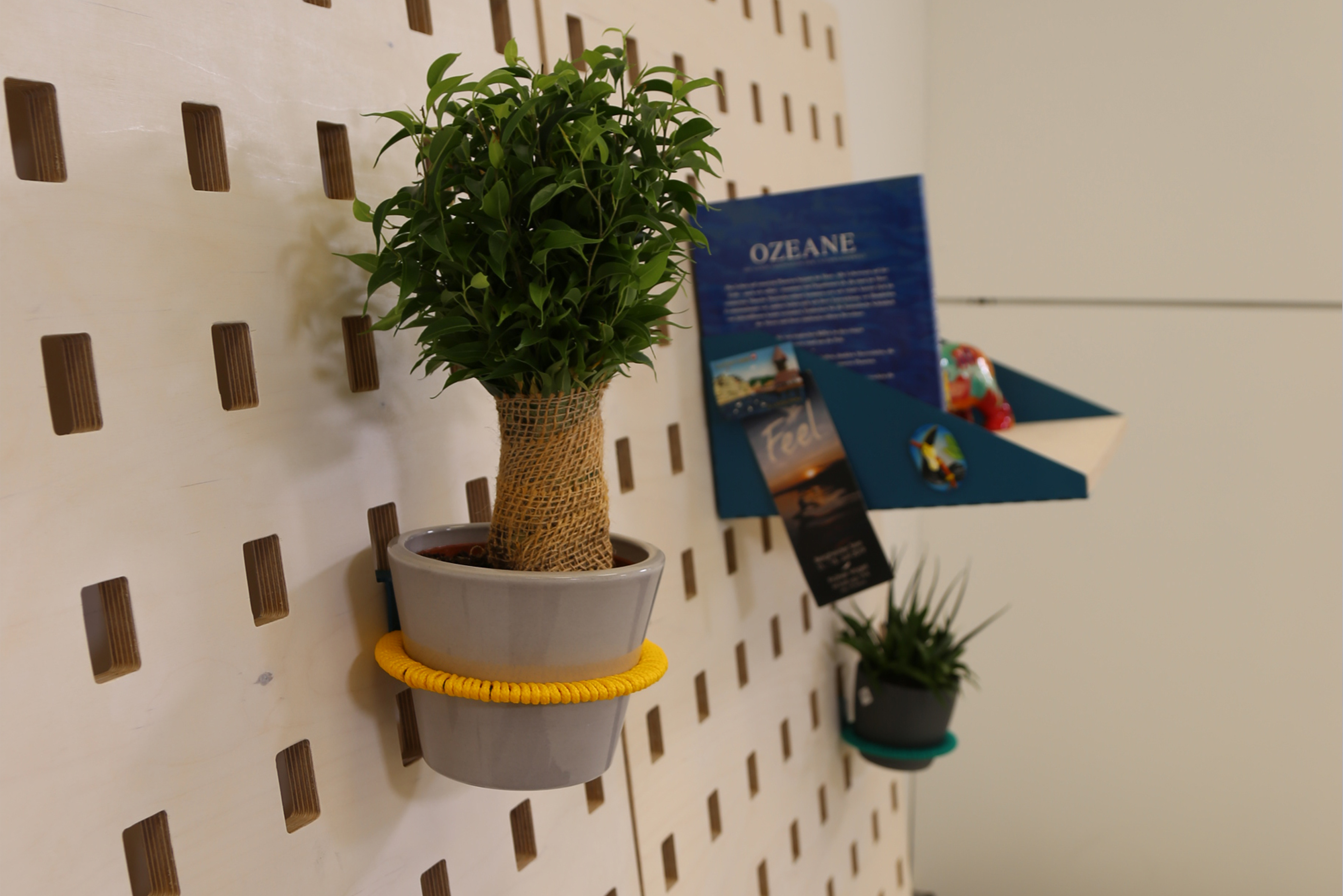 Plant holder