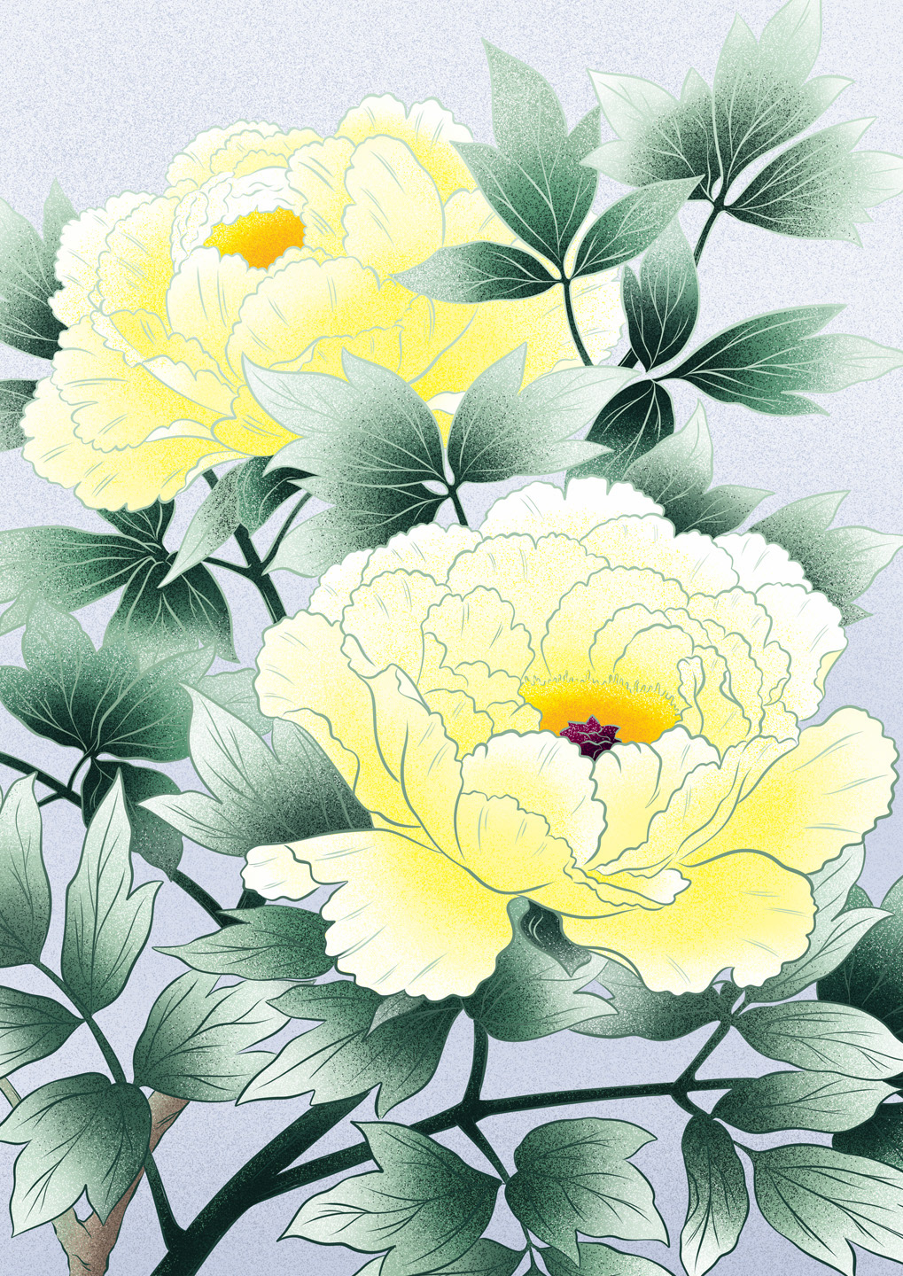 Asiatische Pfingstrose (Paeonia Anomala)