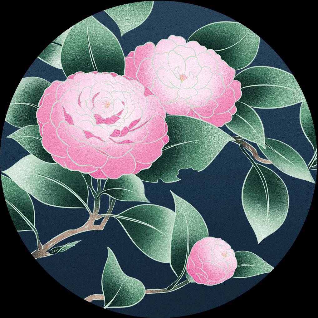 Japanische Kamelie (Camellia Japonica)