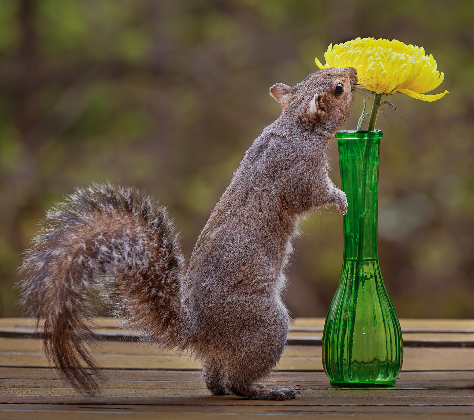 Stop and Smell the Flowers