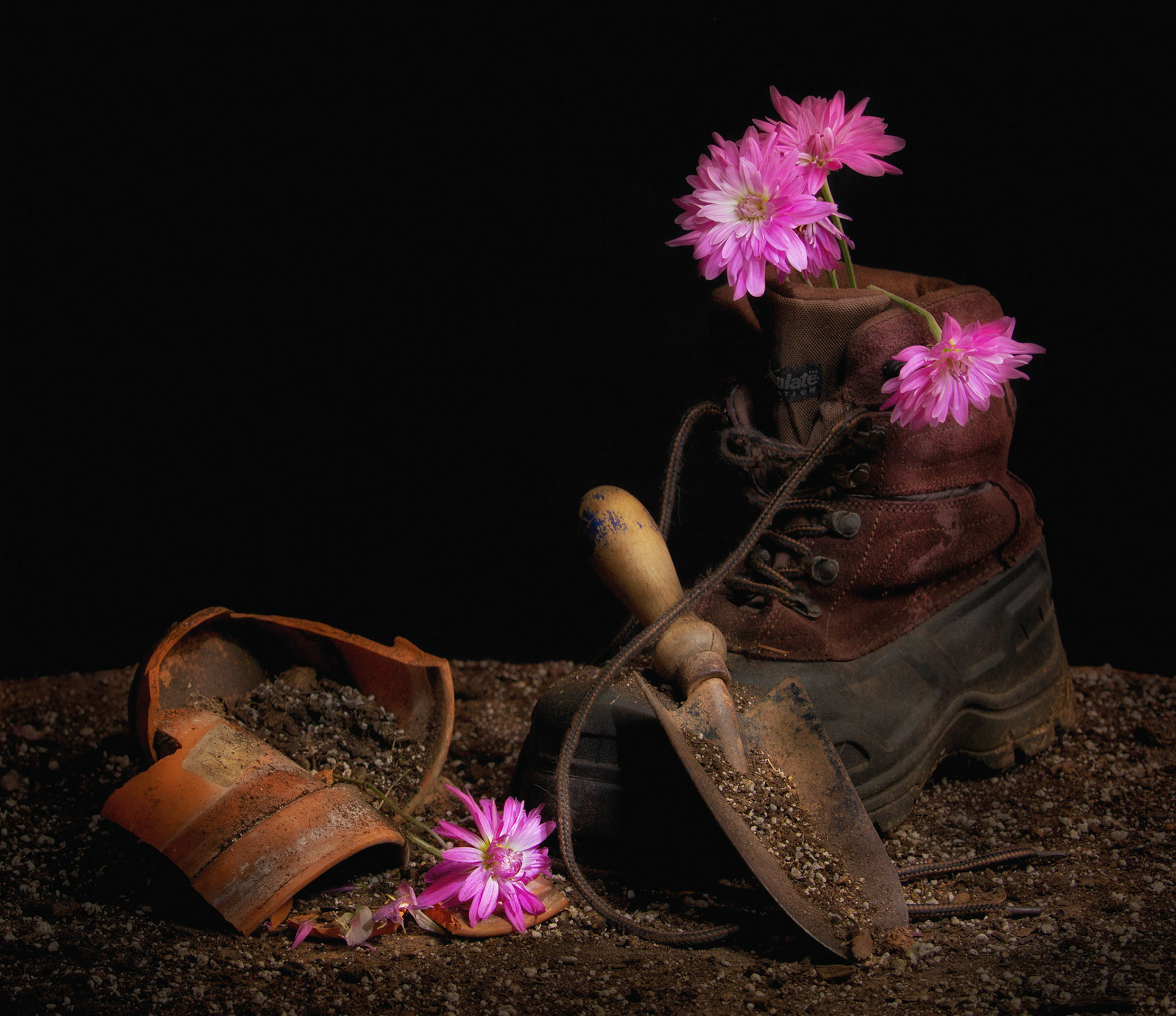 Accidental Gardener