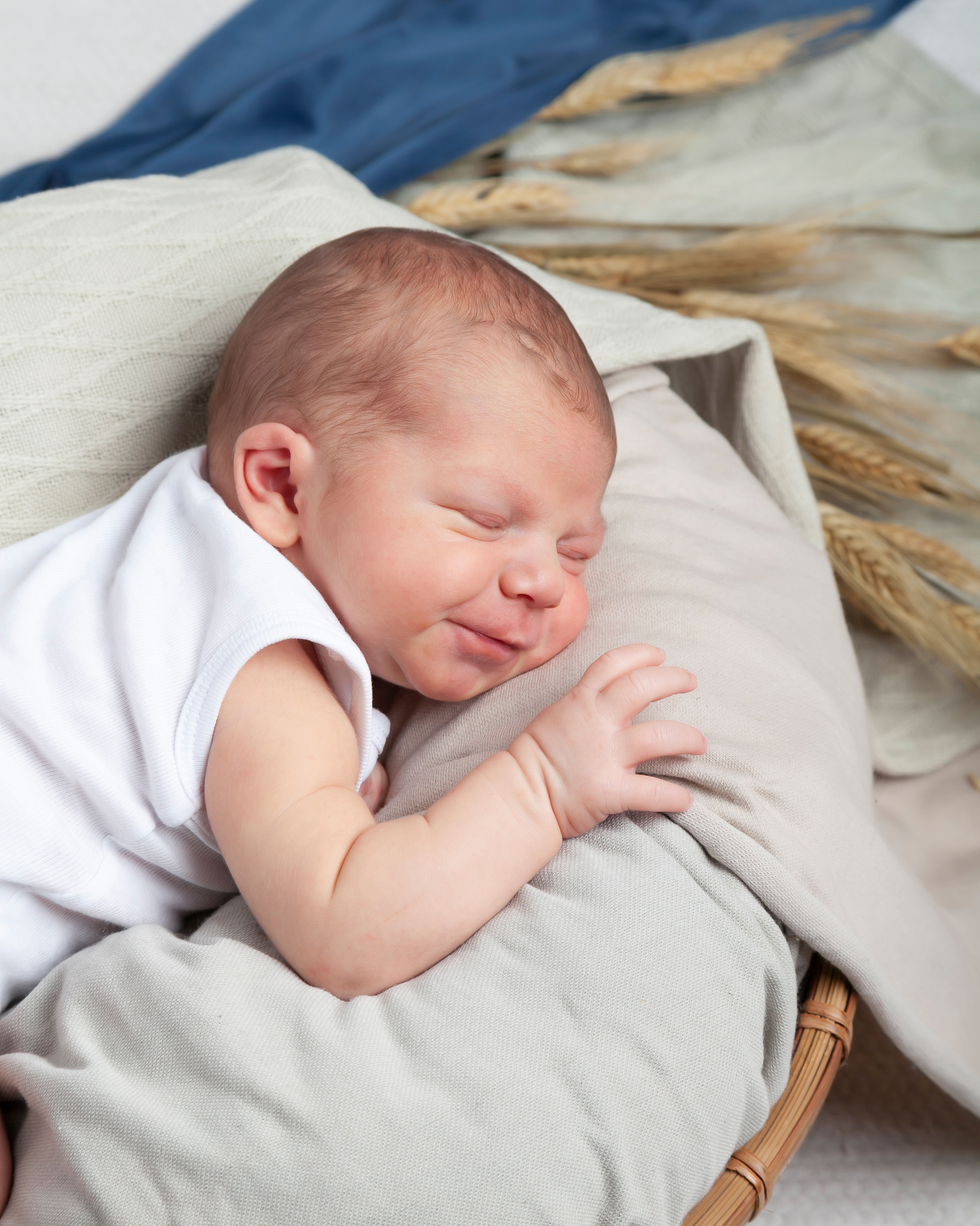 Servizio fotografico newborn udine