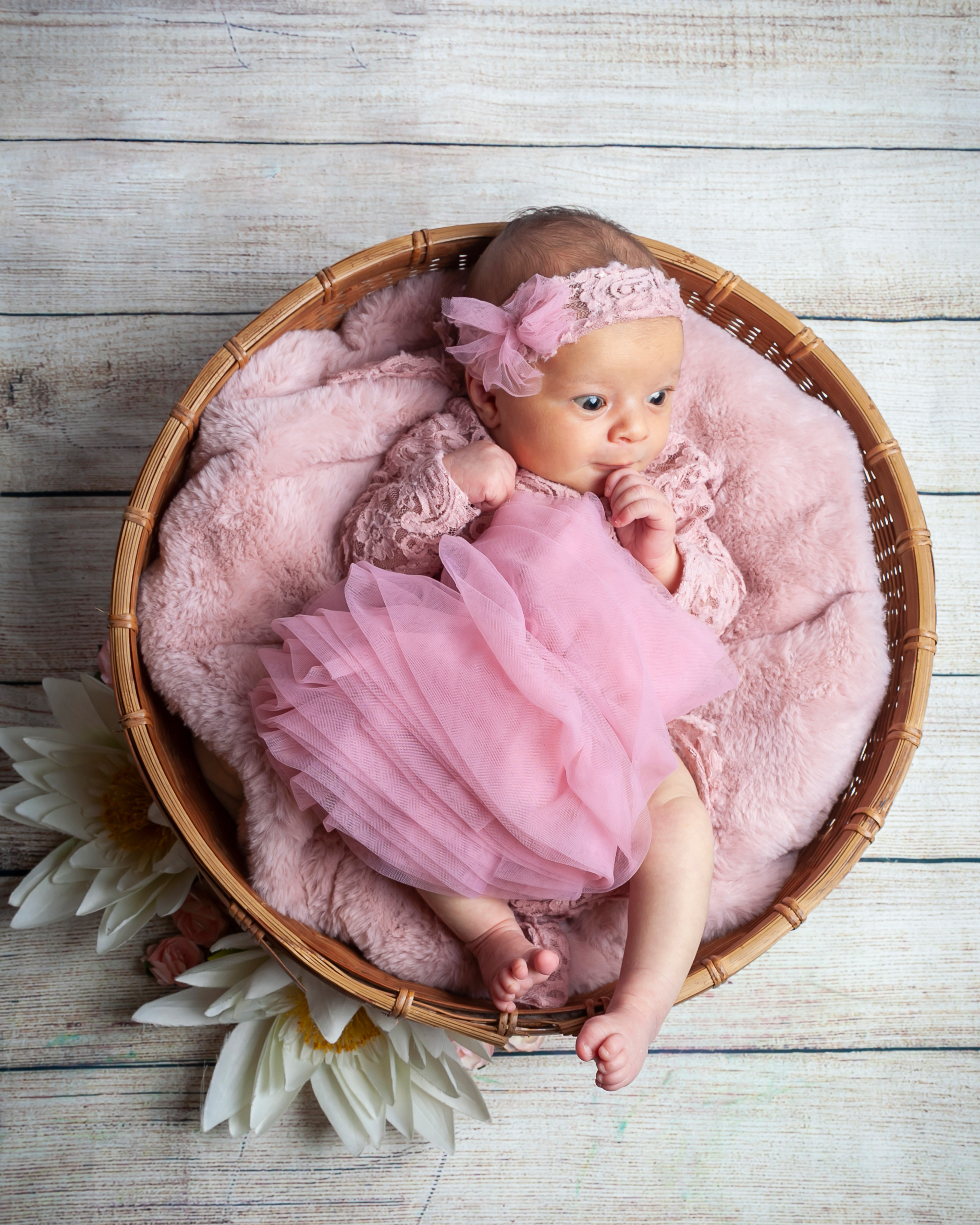 Servizio fotografico newborn udine