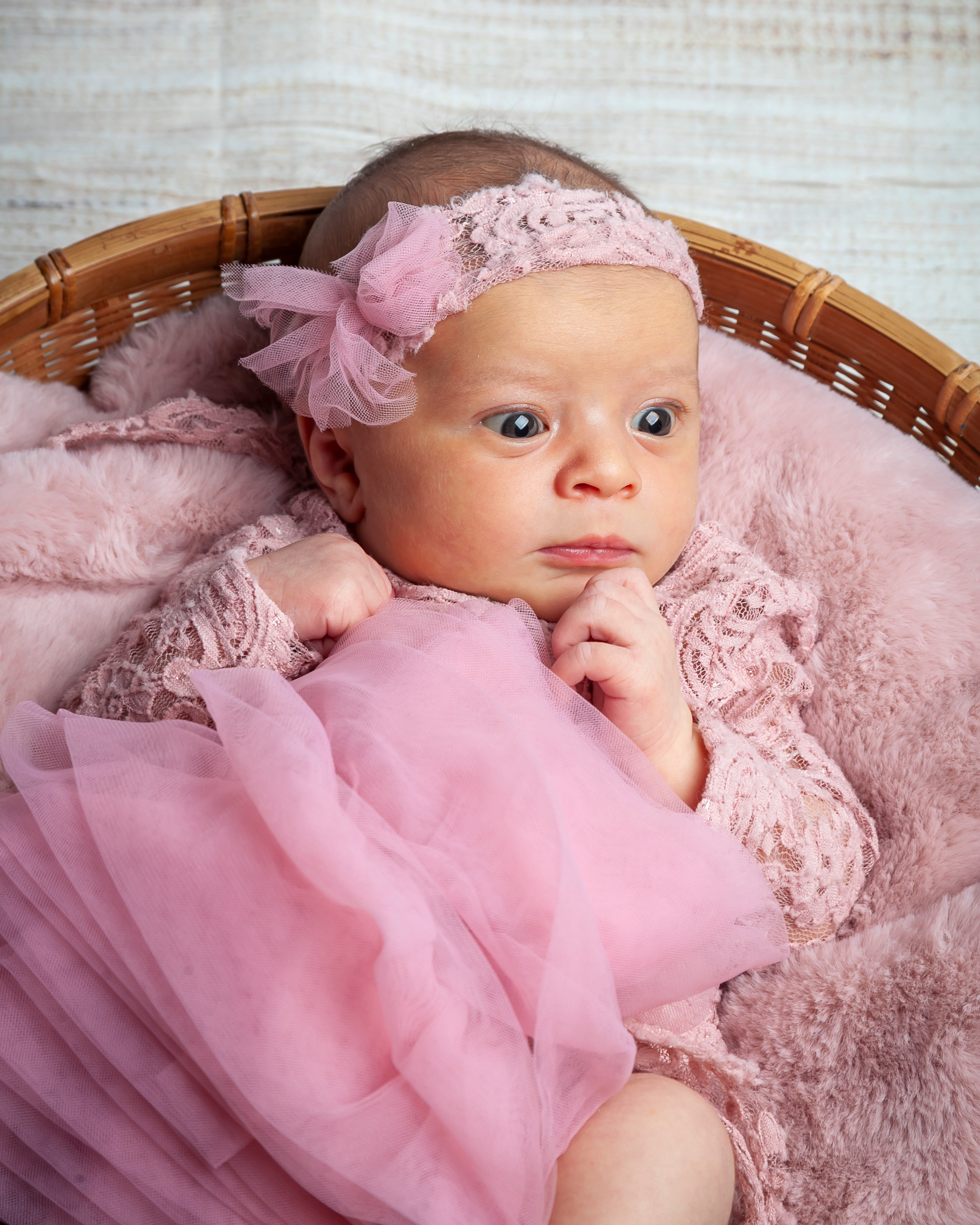 Servizio fotografico newborn udine