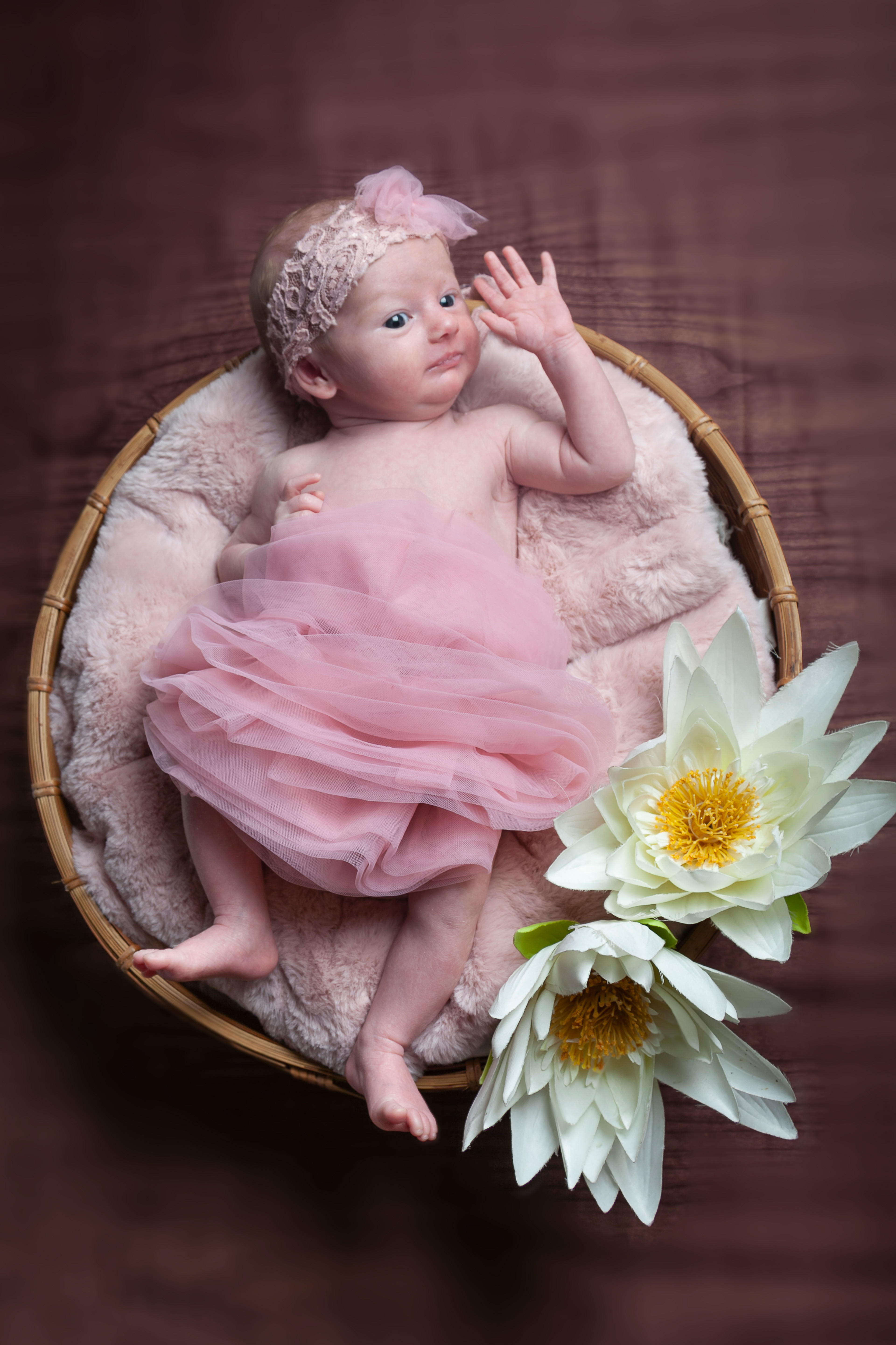 Servizio fotografico newborn udine