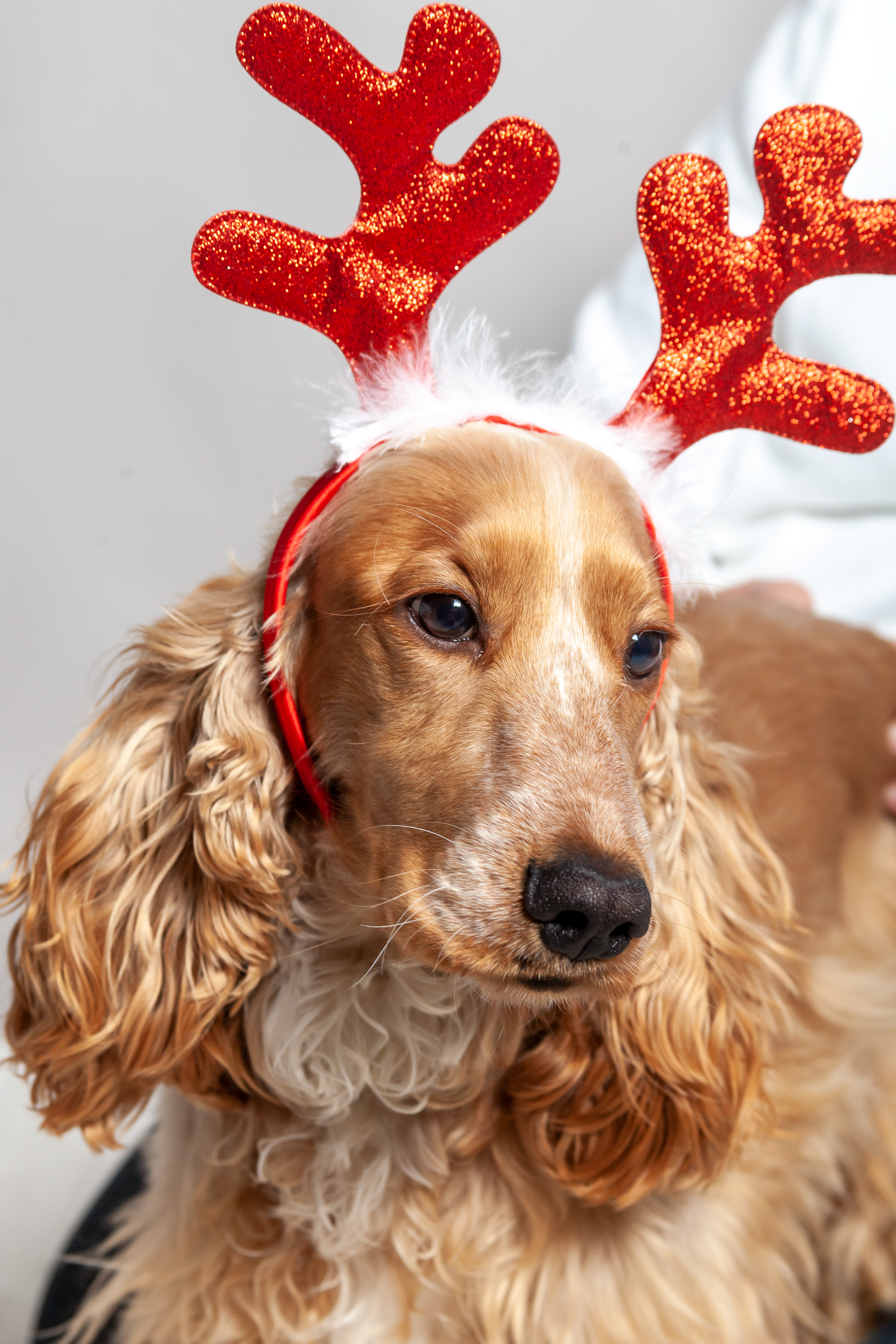 Sessione-fotografica-natale-udine