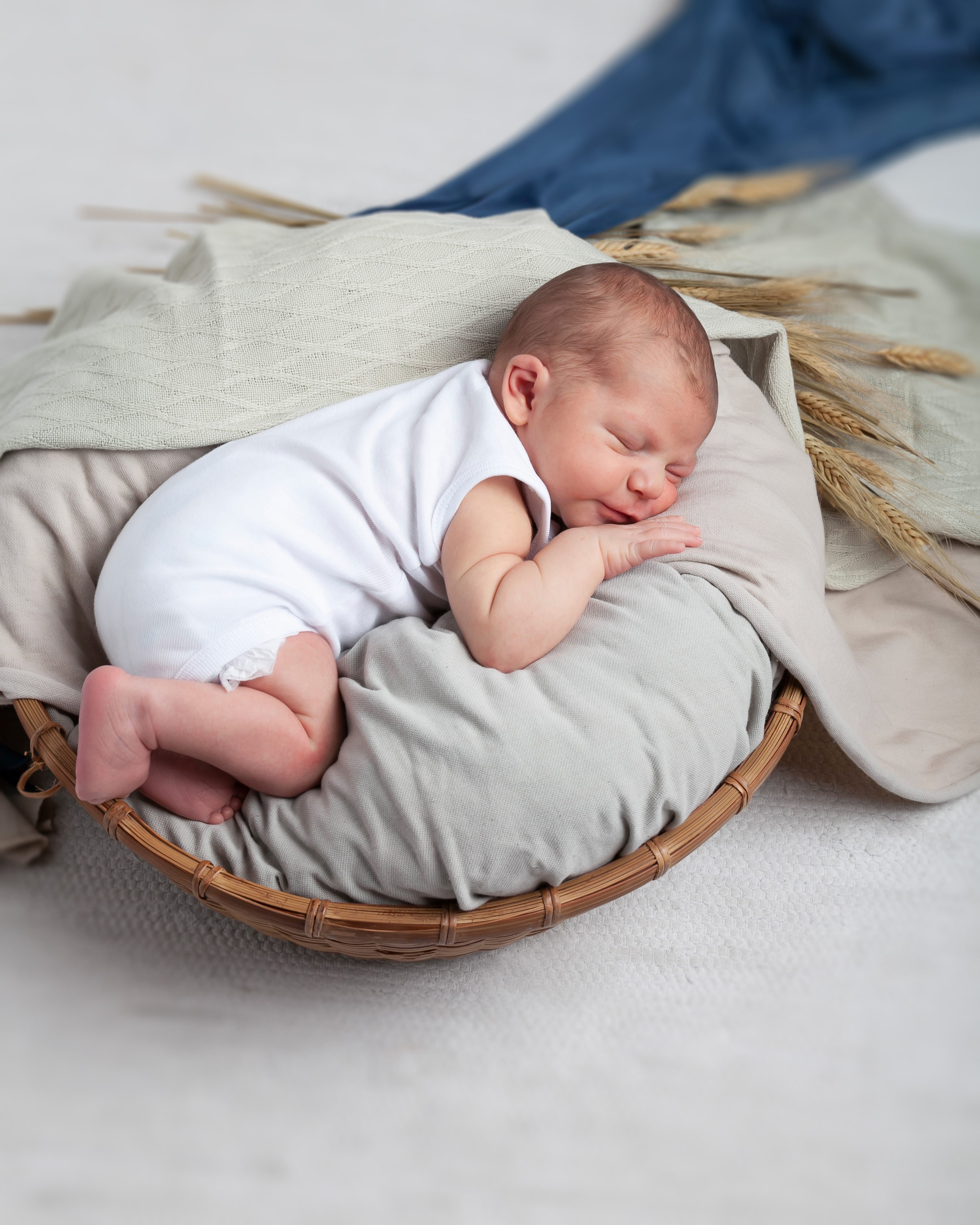 Servizio fotografico newborn udine