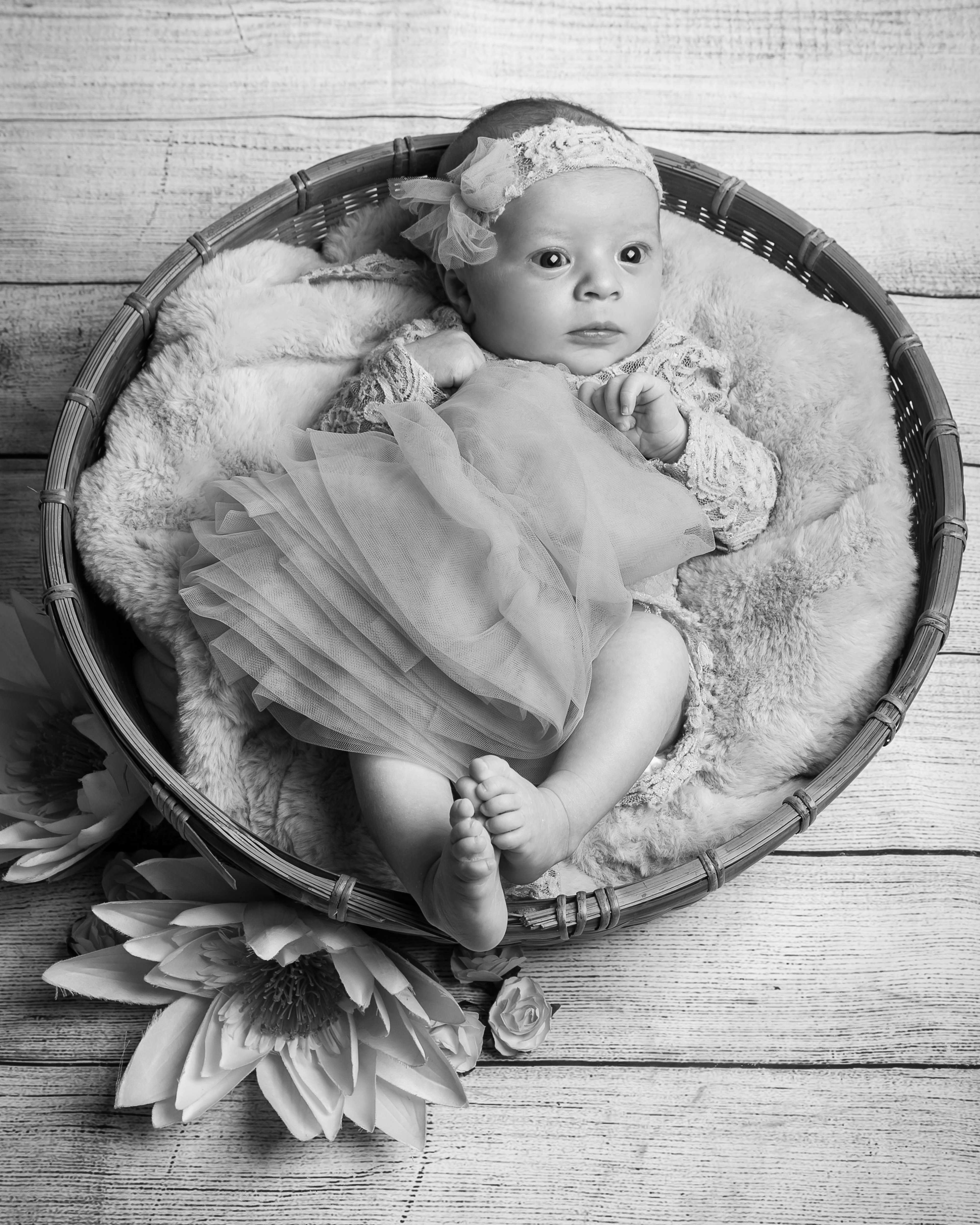 Servizio fotografico newborn udine