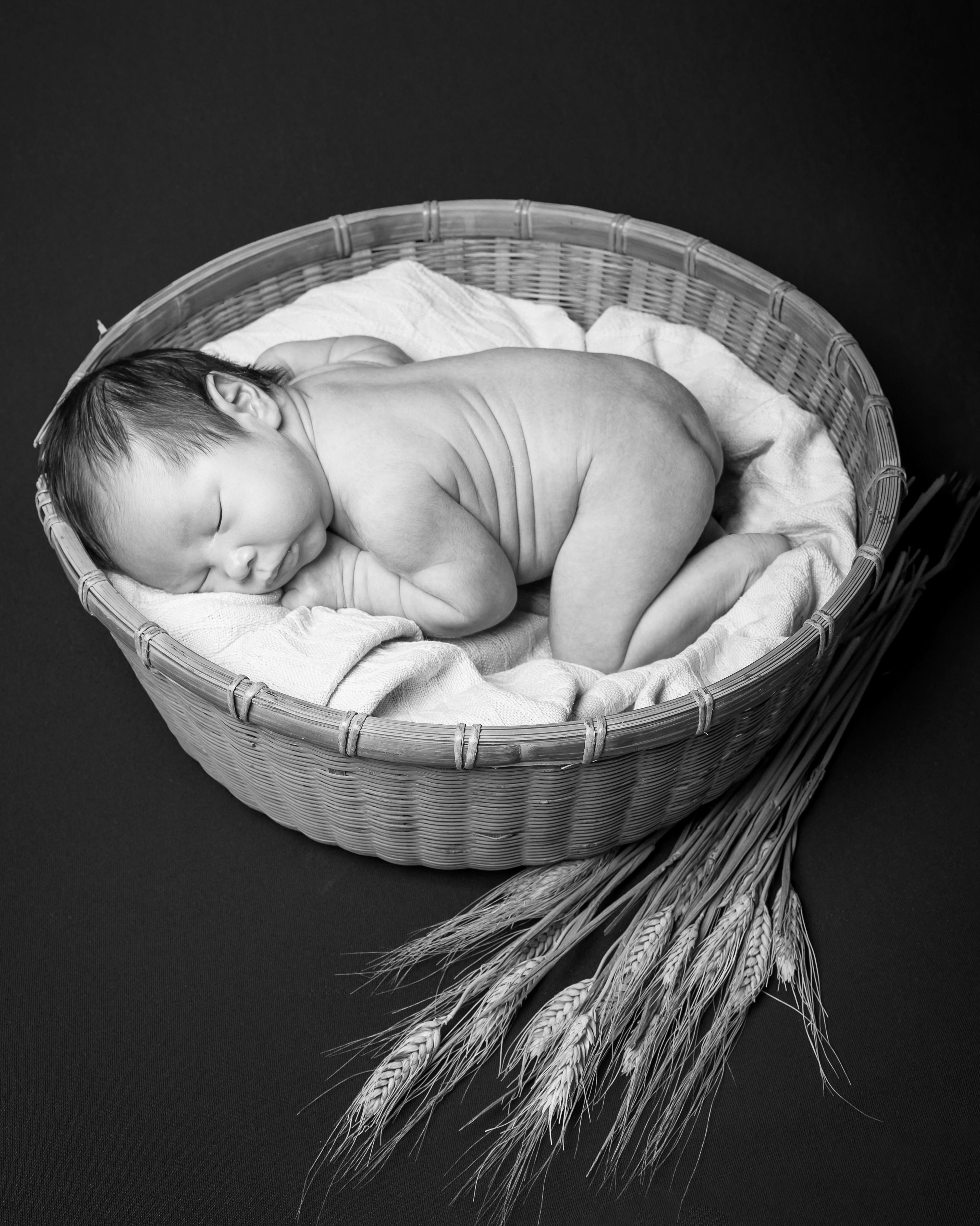 Servizio fotografico newborn udine