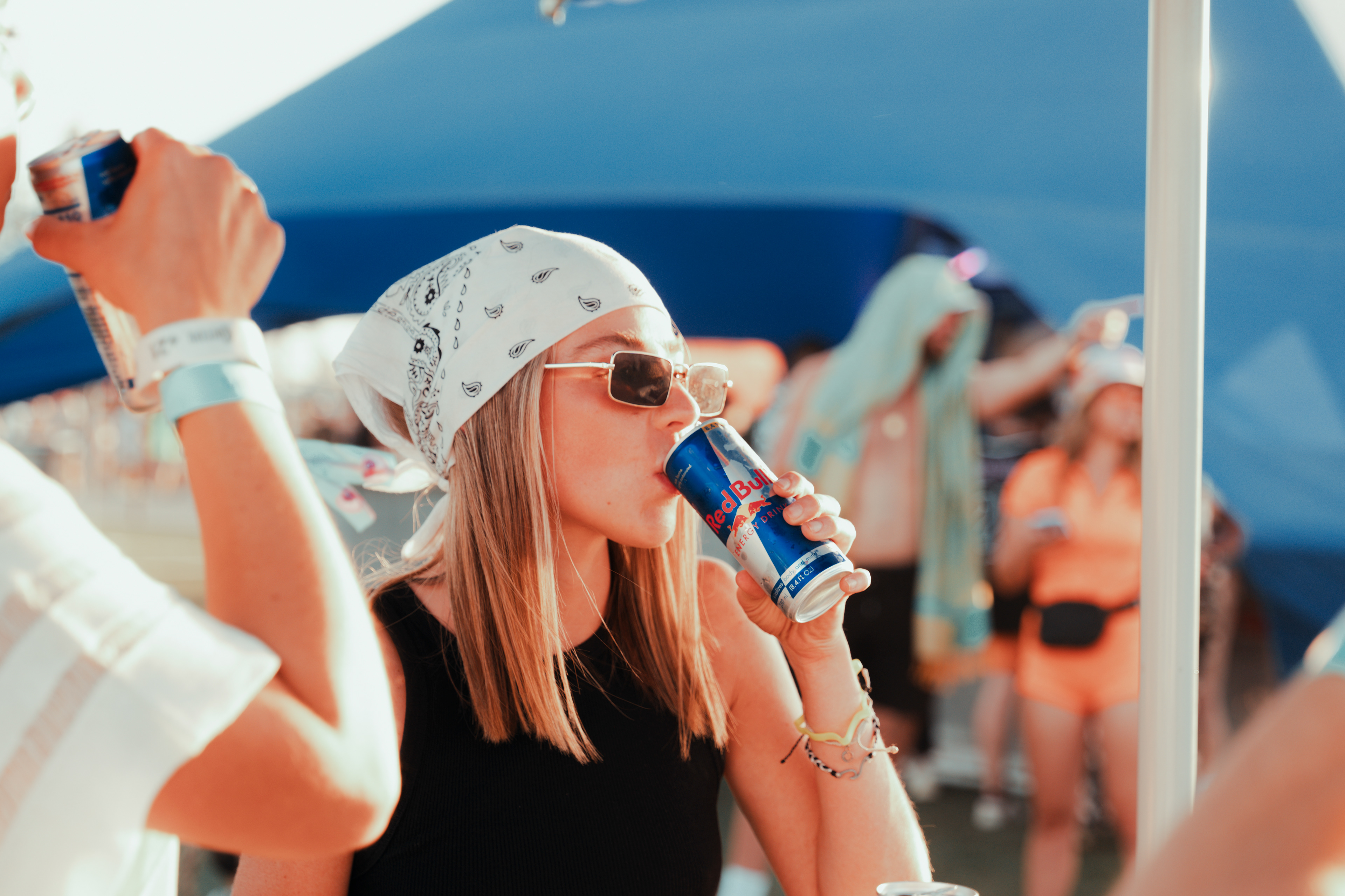 North Coast Music Festival Chicago