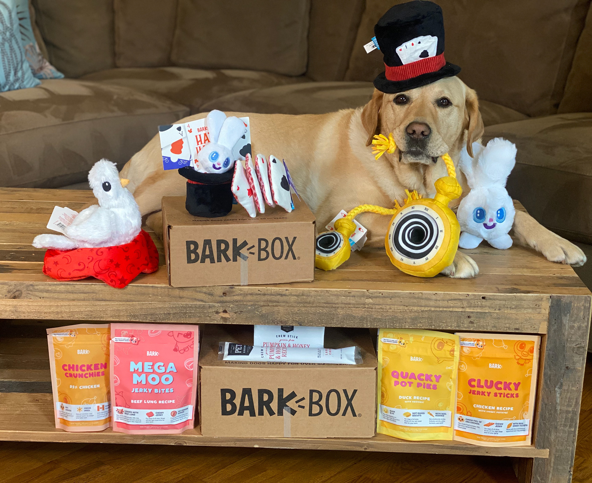 BarkBox