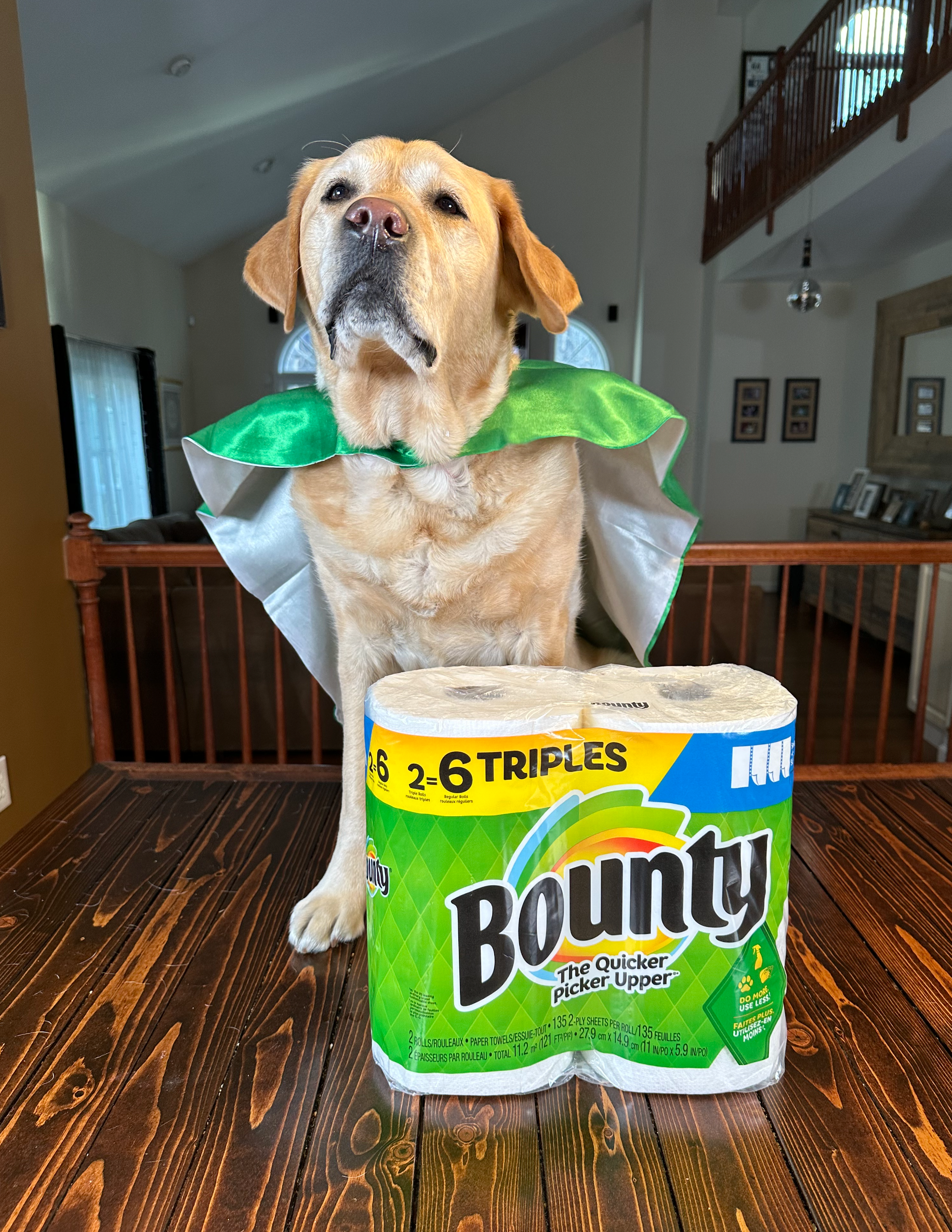 Bounty