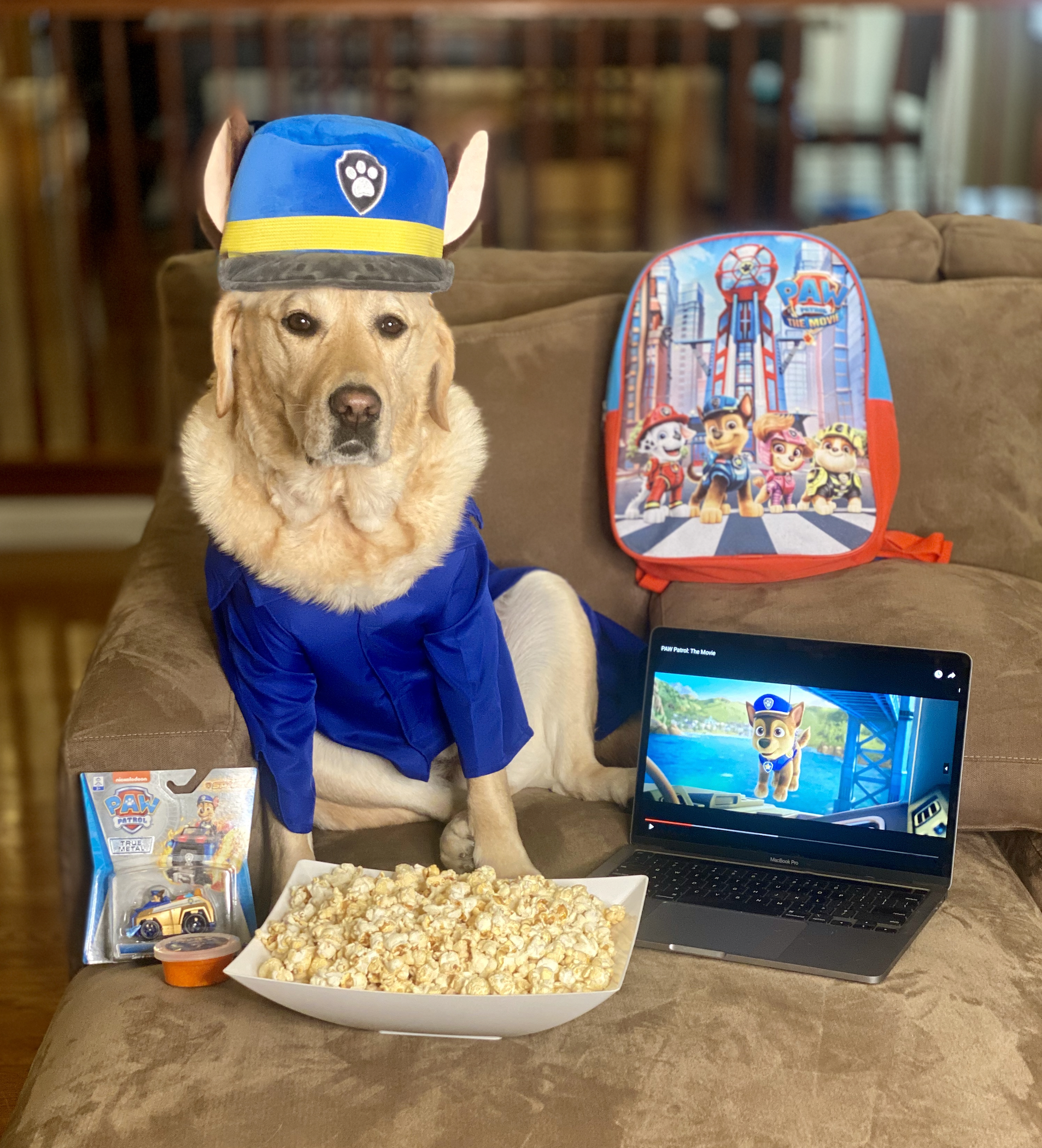 Paw Patrol: The Movie