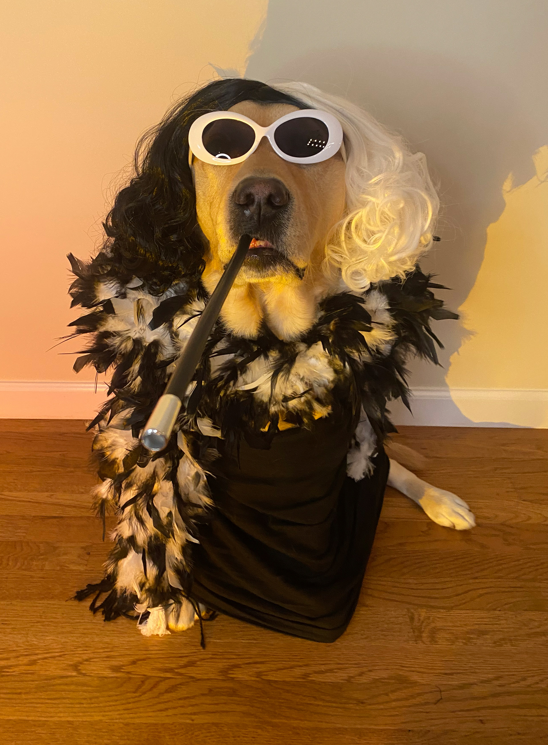 Disney's Cruella
