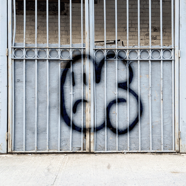 005 - Blowfish / Crown Heights, Broklyn