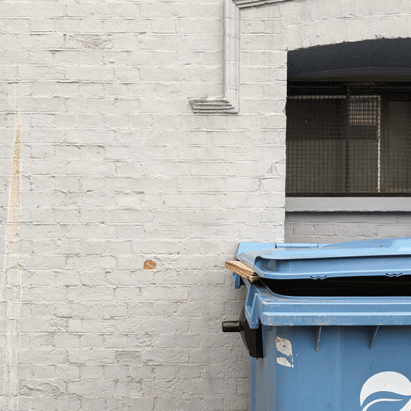 027 - Blooming Flower / Shoreditch, London