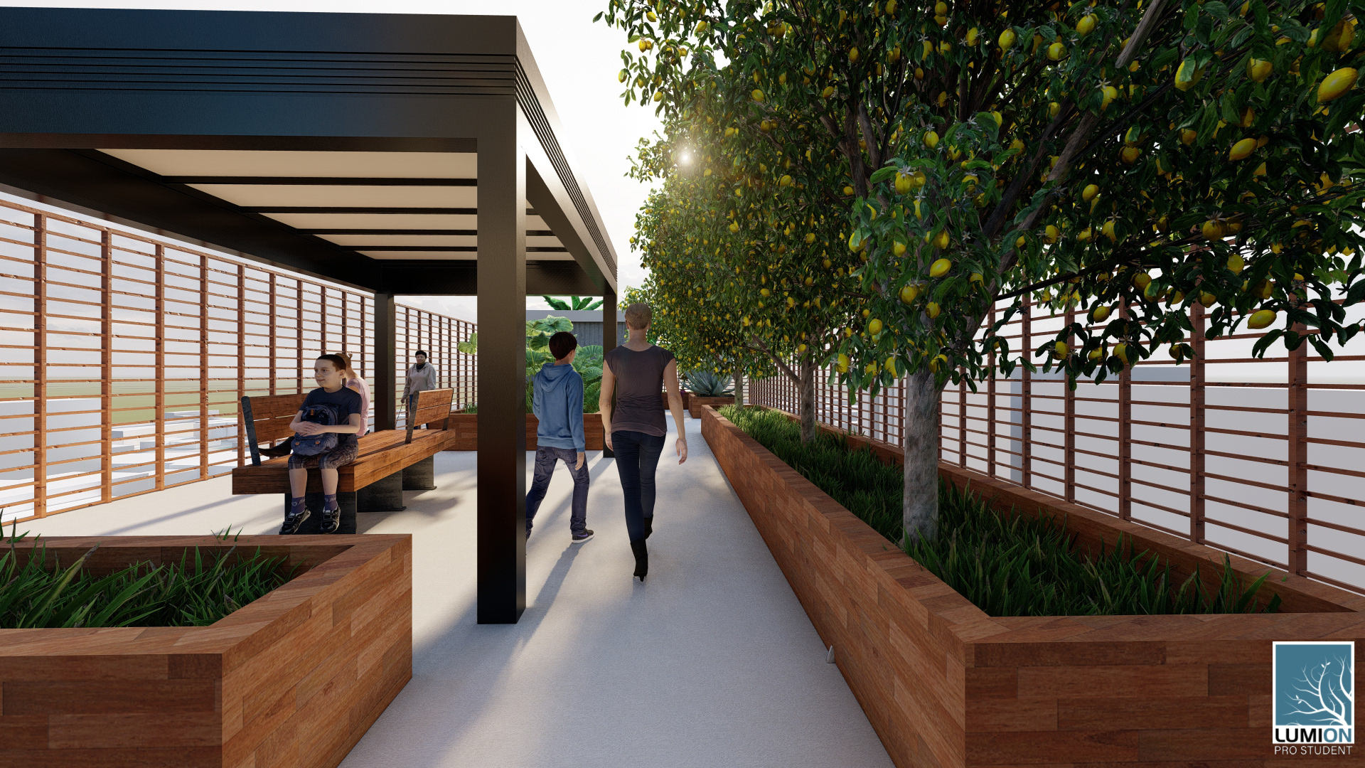 Rooftop Garden