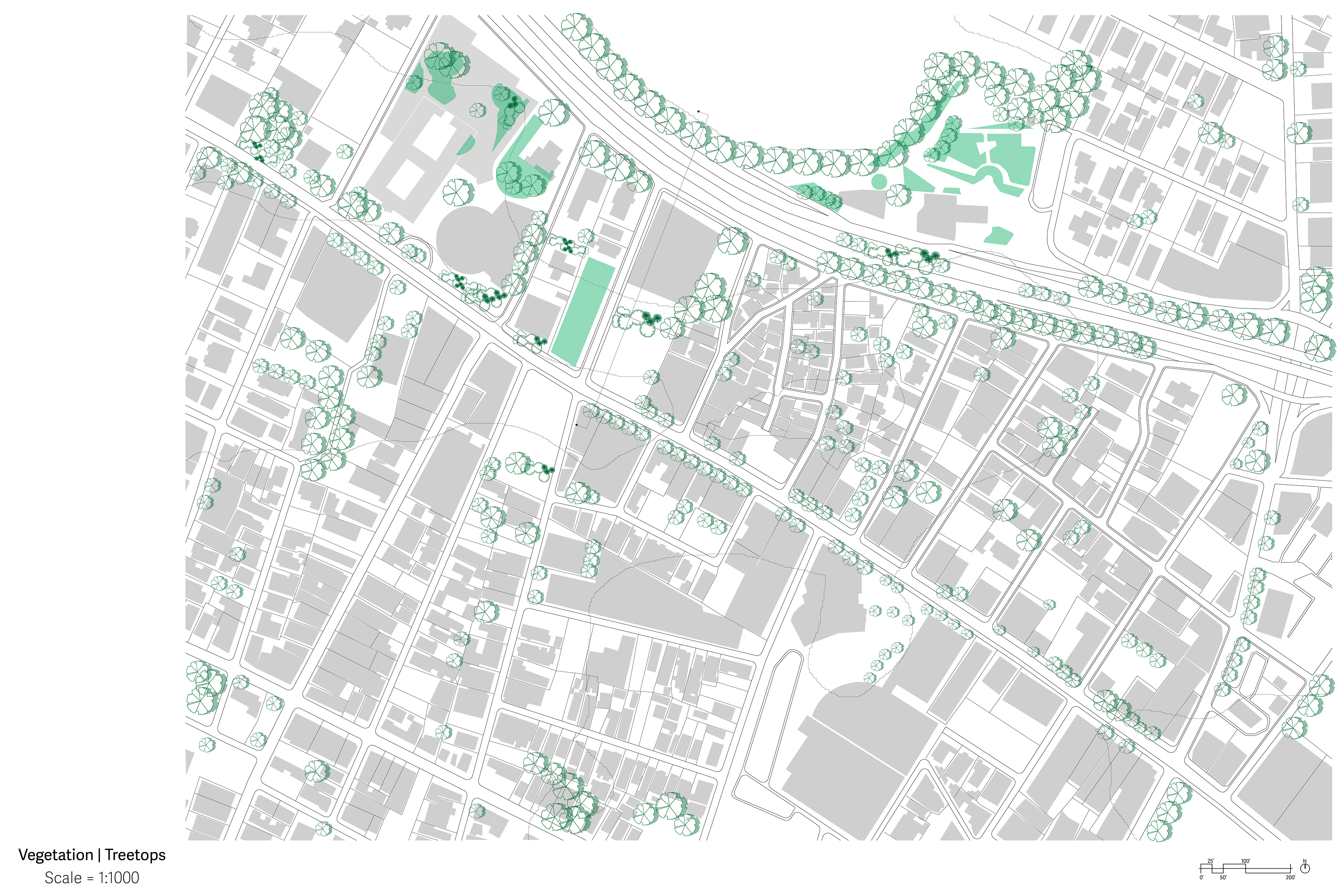Tree Canopy in Surrounding Context