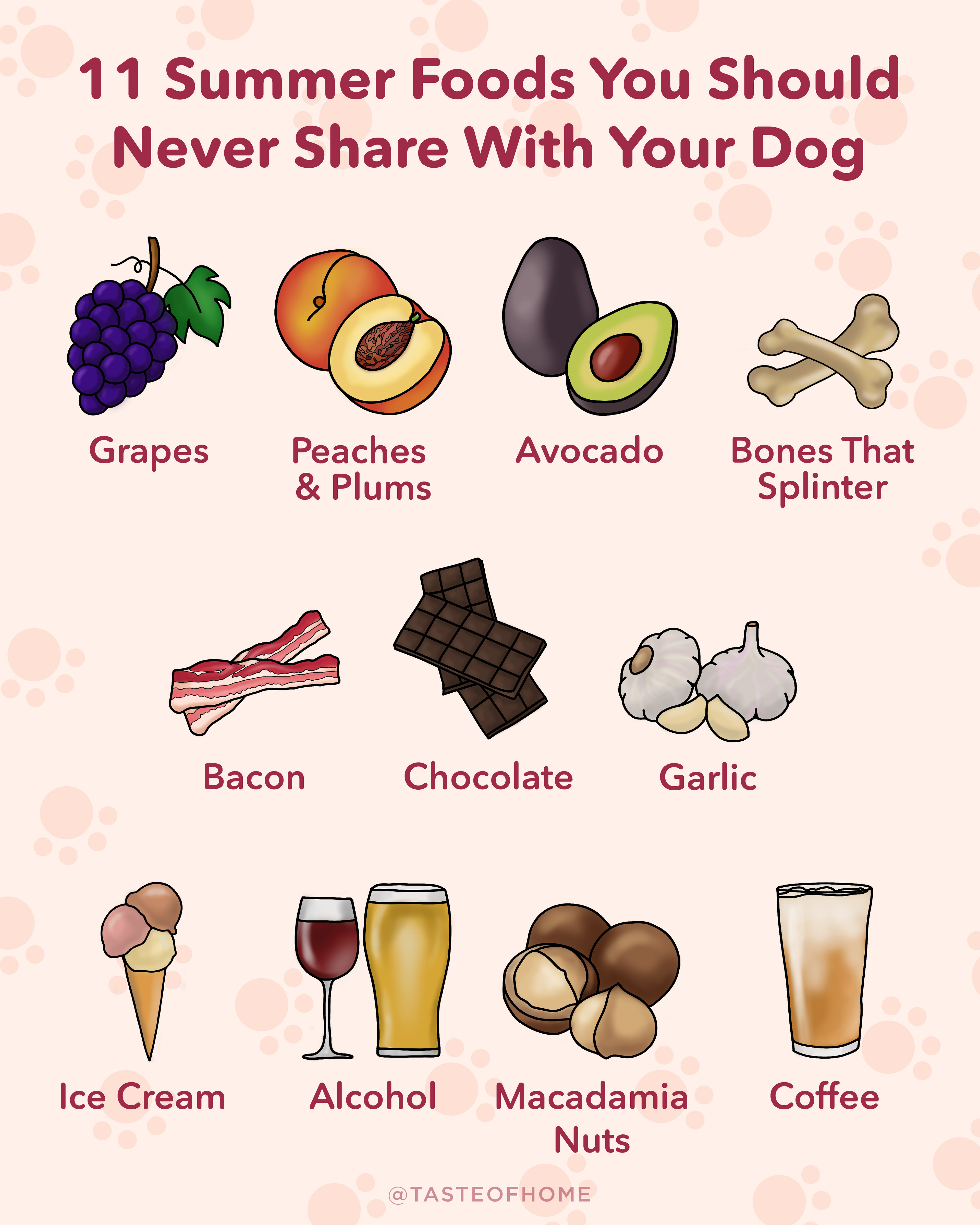 Graphic showing summer foods that aren't safe for dogs with original illustrations.