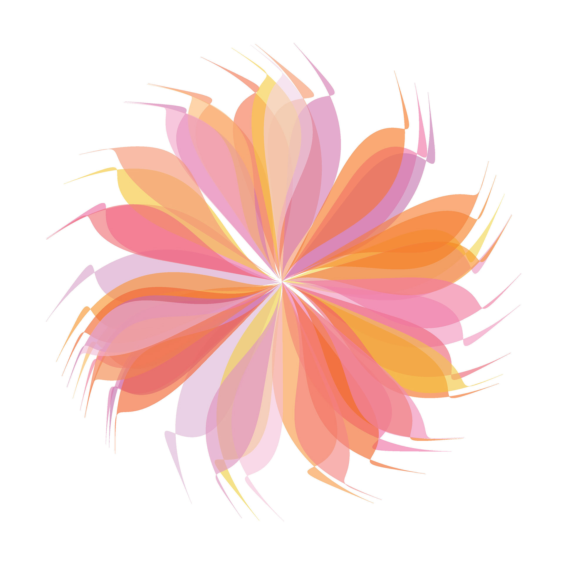 Flower Study built from generative coding. Built in Processing.